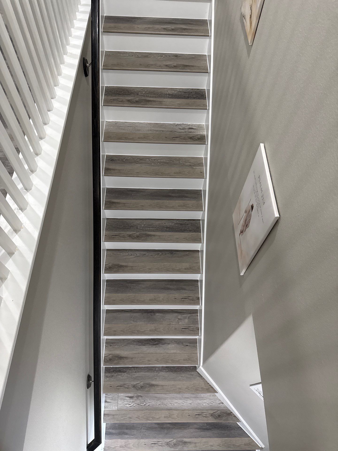  for A&N Painting And Renovations in Houston, TX