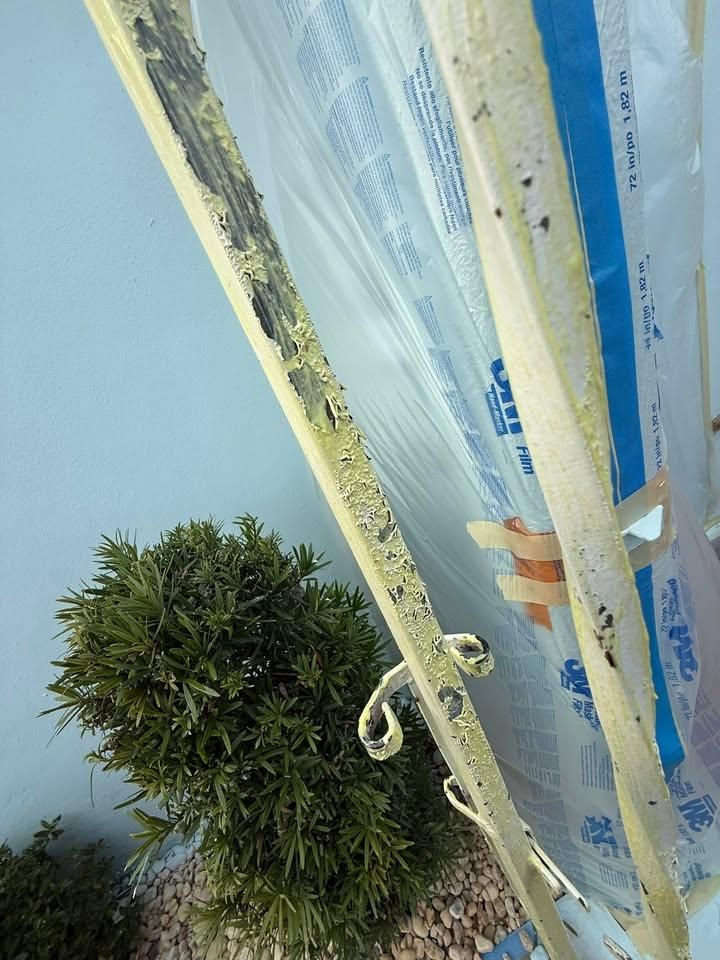  for Escorpio Painting in Tampa, FL