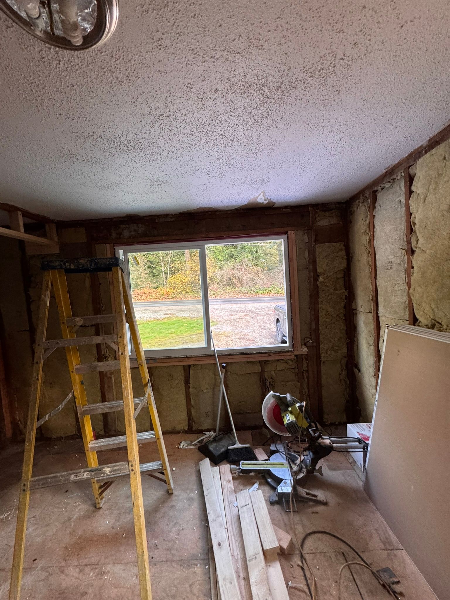  for Tony's Remodeling & Painting in Renton, WA