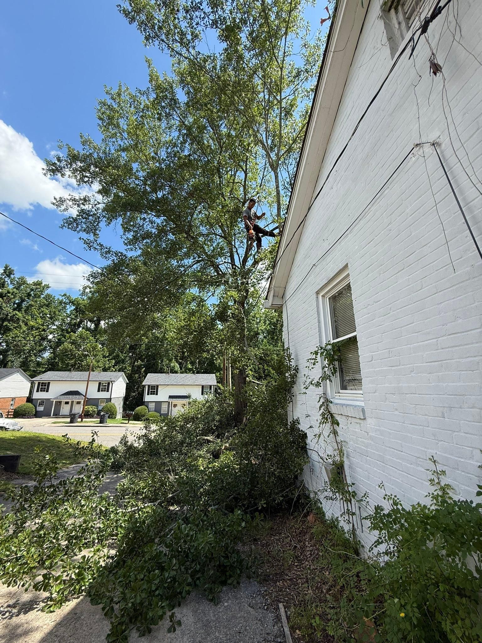  for Southern Land Improvements in Edgefield, SC