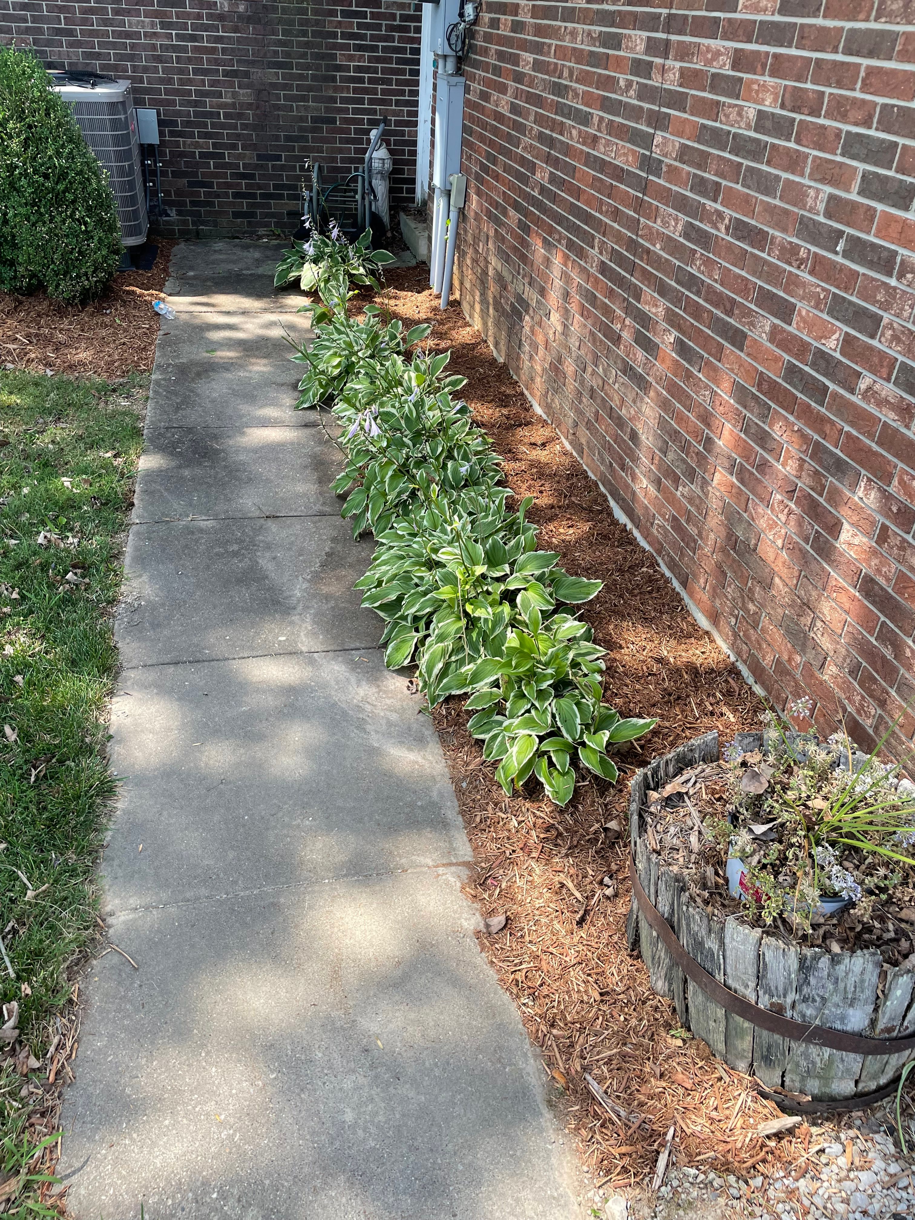 All Photos for EverReady Lawn Co in Charlestown, IN