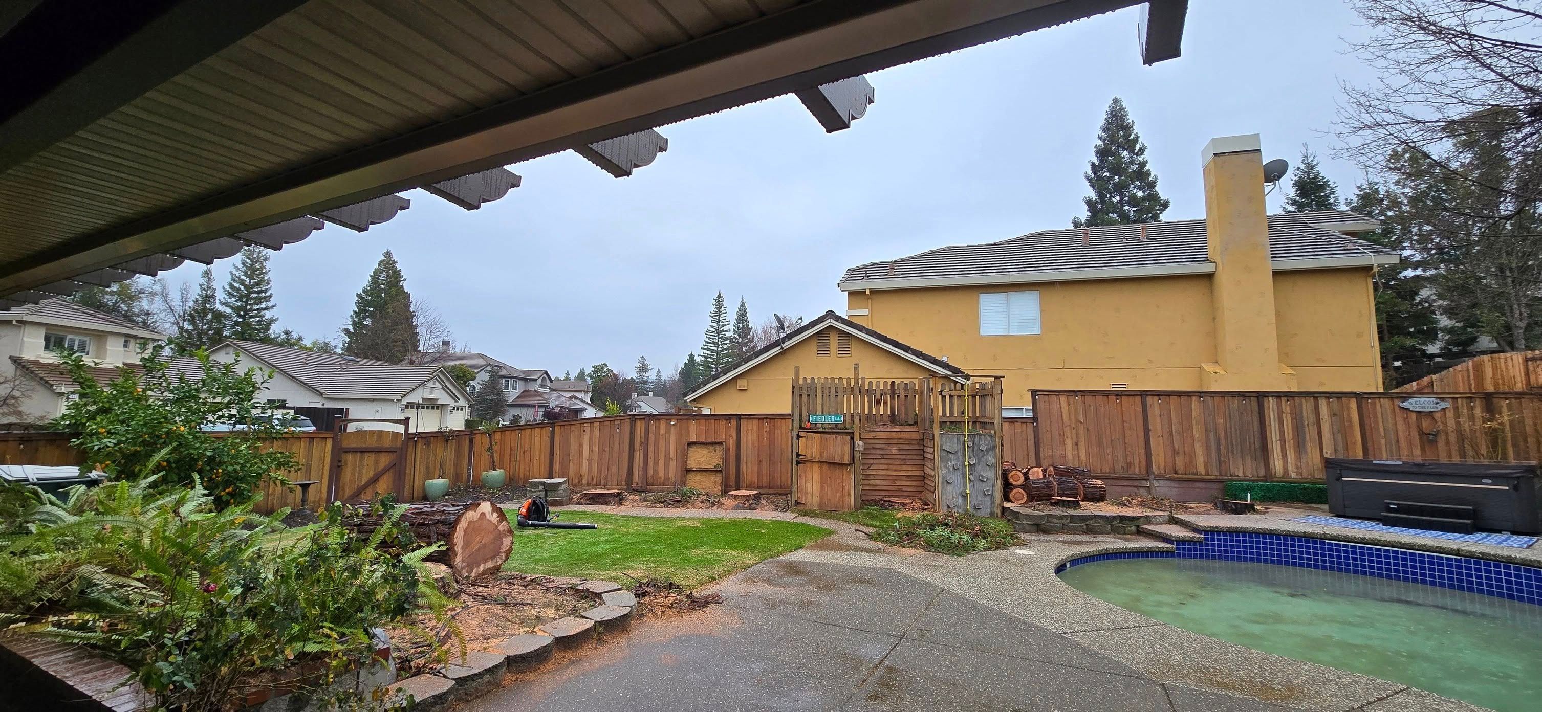  for George Staddan's Professional Tree Care in Placerville, CA