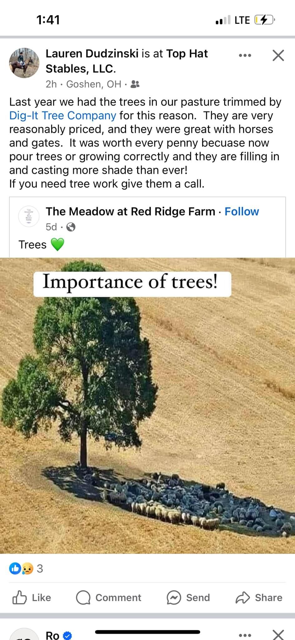  for Dig-It Tree Company in , 