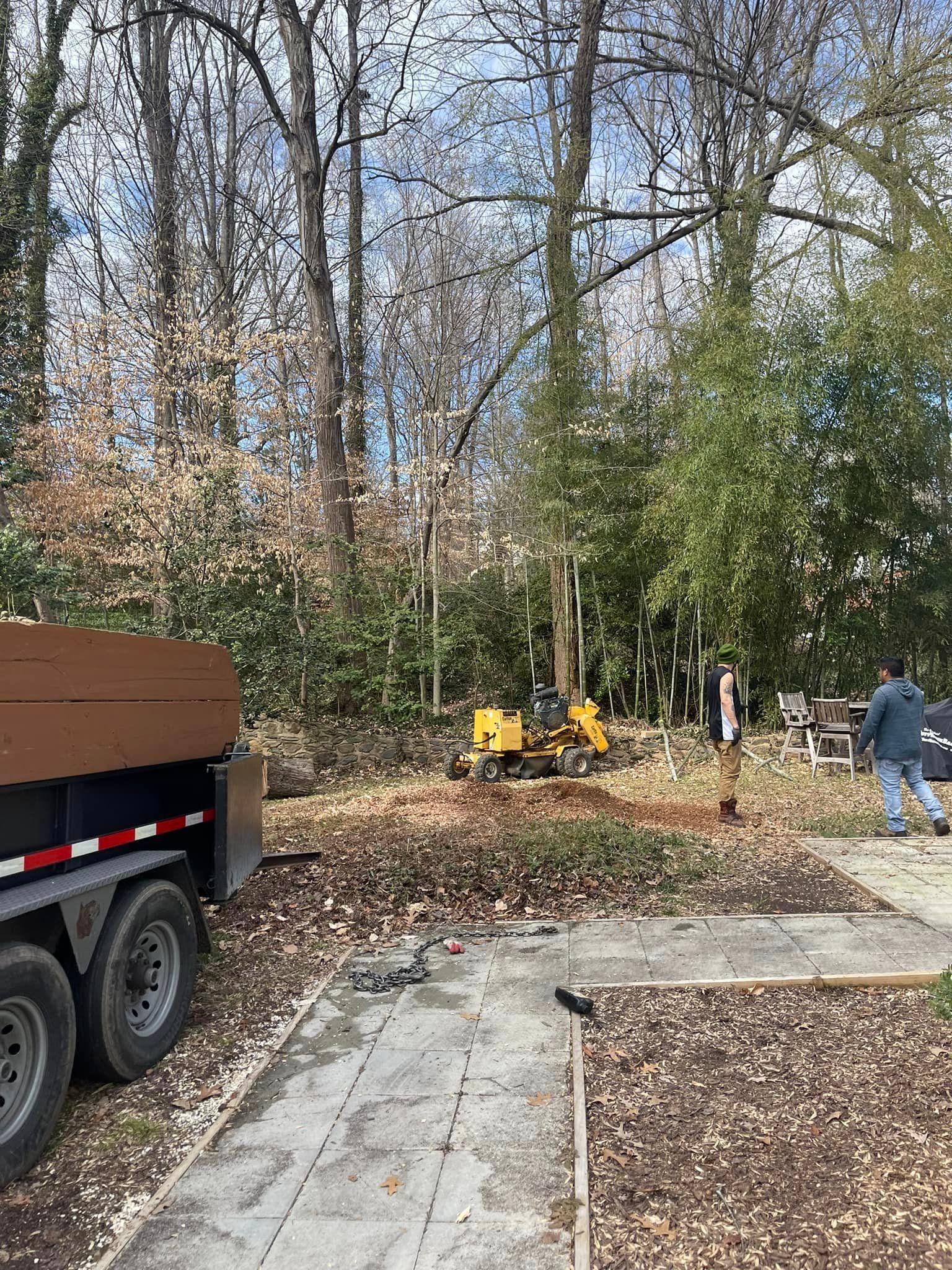  for Ricky's Tree Service & Property Care in Orange, VA