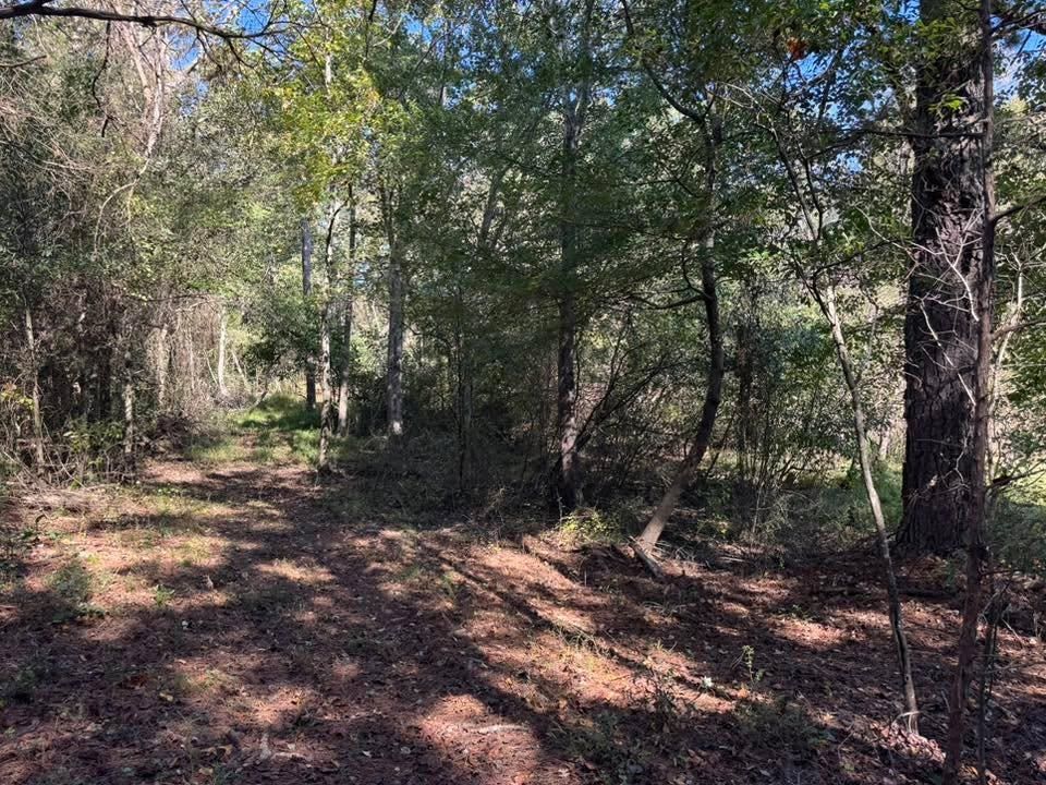  for KLNAX Enterprises in Newton County, GA