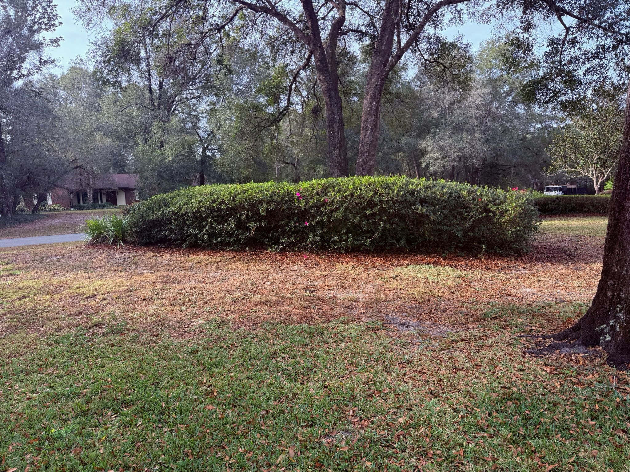  for Amerigrown Tree And Lawn in Apopka, FL