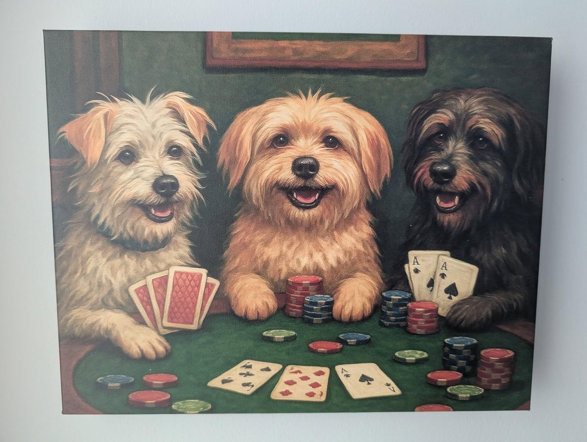  for Evolution Earthscapes, LLC in Ludlow, MA