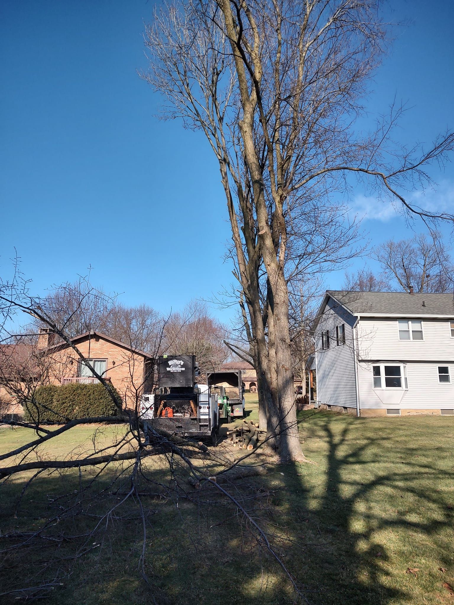  for Billiter's Tree Service, LLC in Rootstown, Ohio