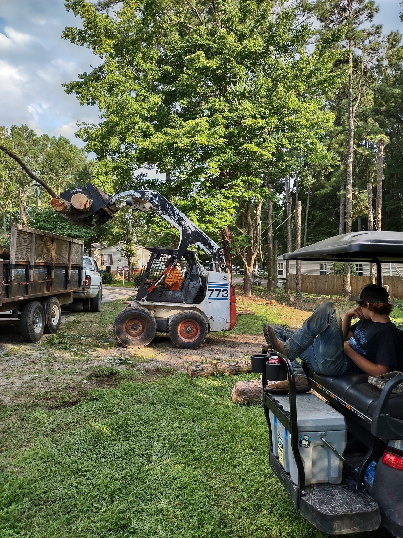  for Country Cutters Tree Service in Prince George, VA