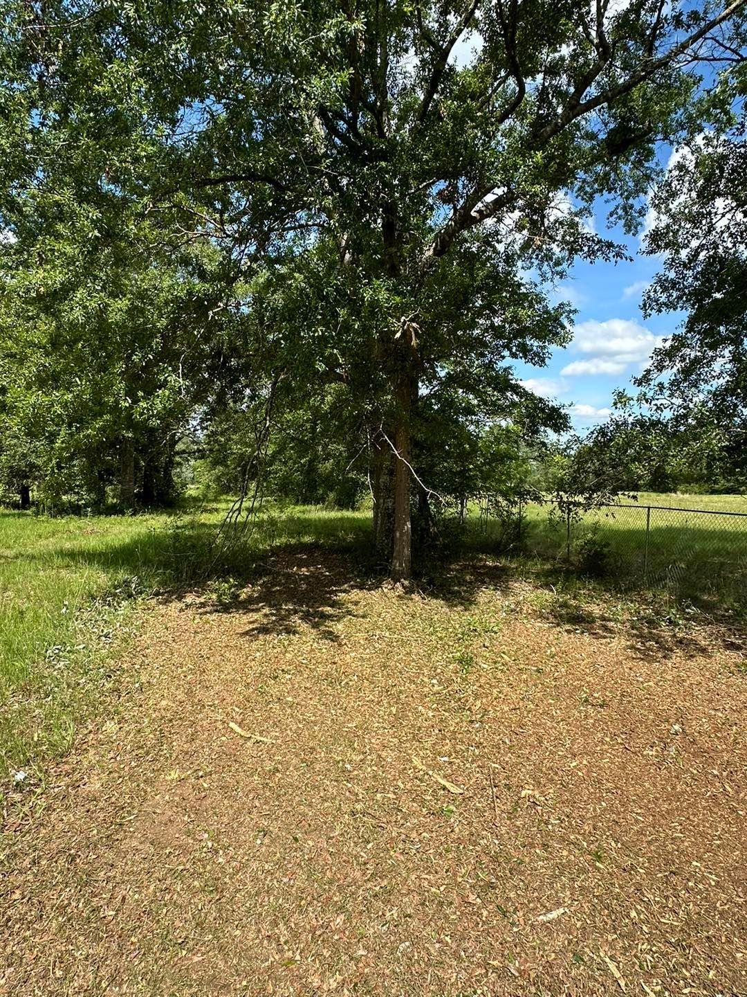  for White’s Land Maintenance in Milton,, FL