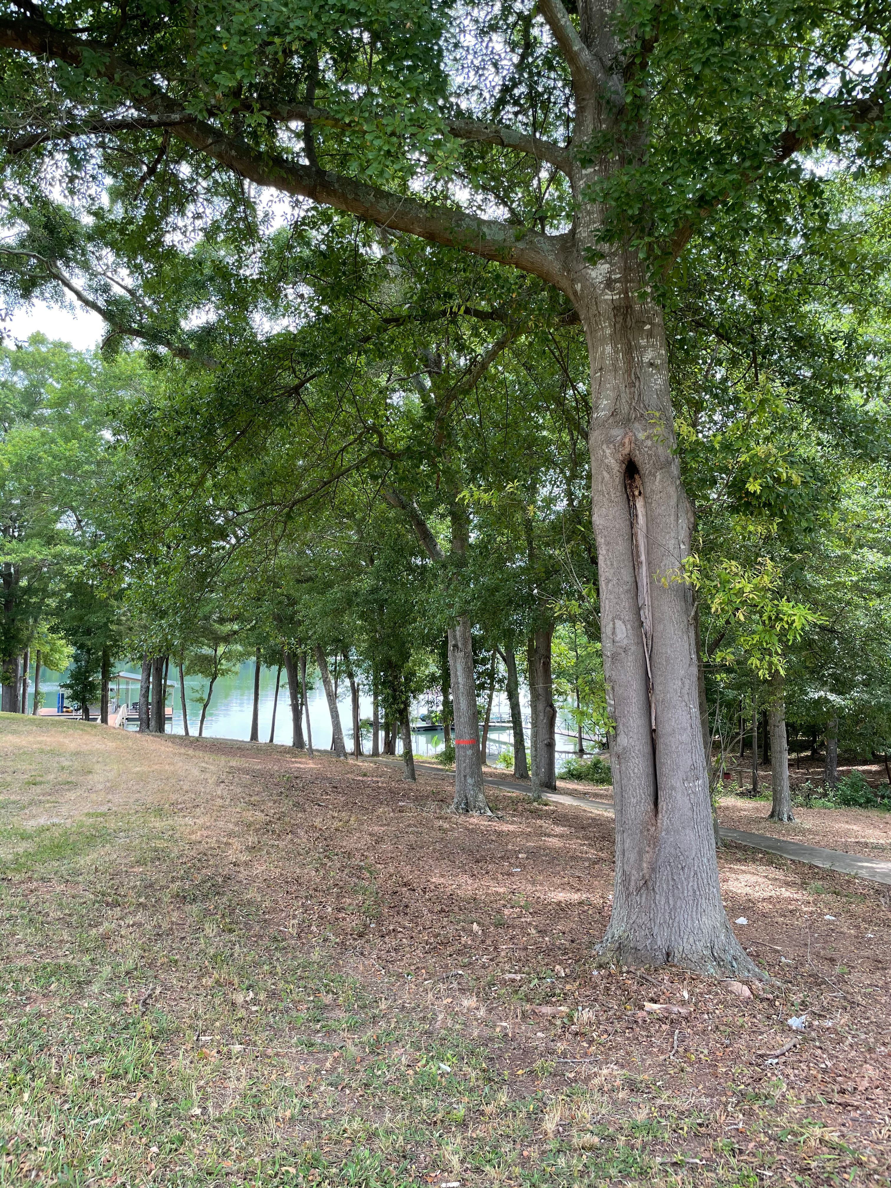  for Peach State Landscaping in Hartwell, GA