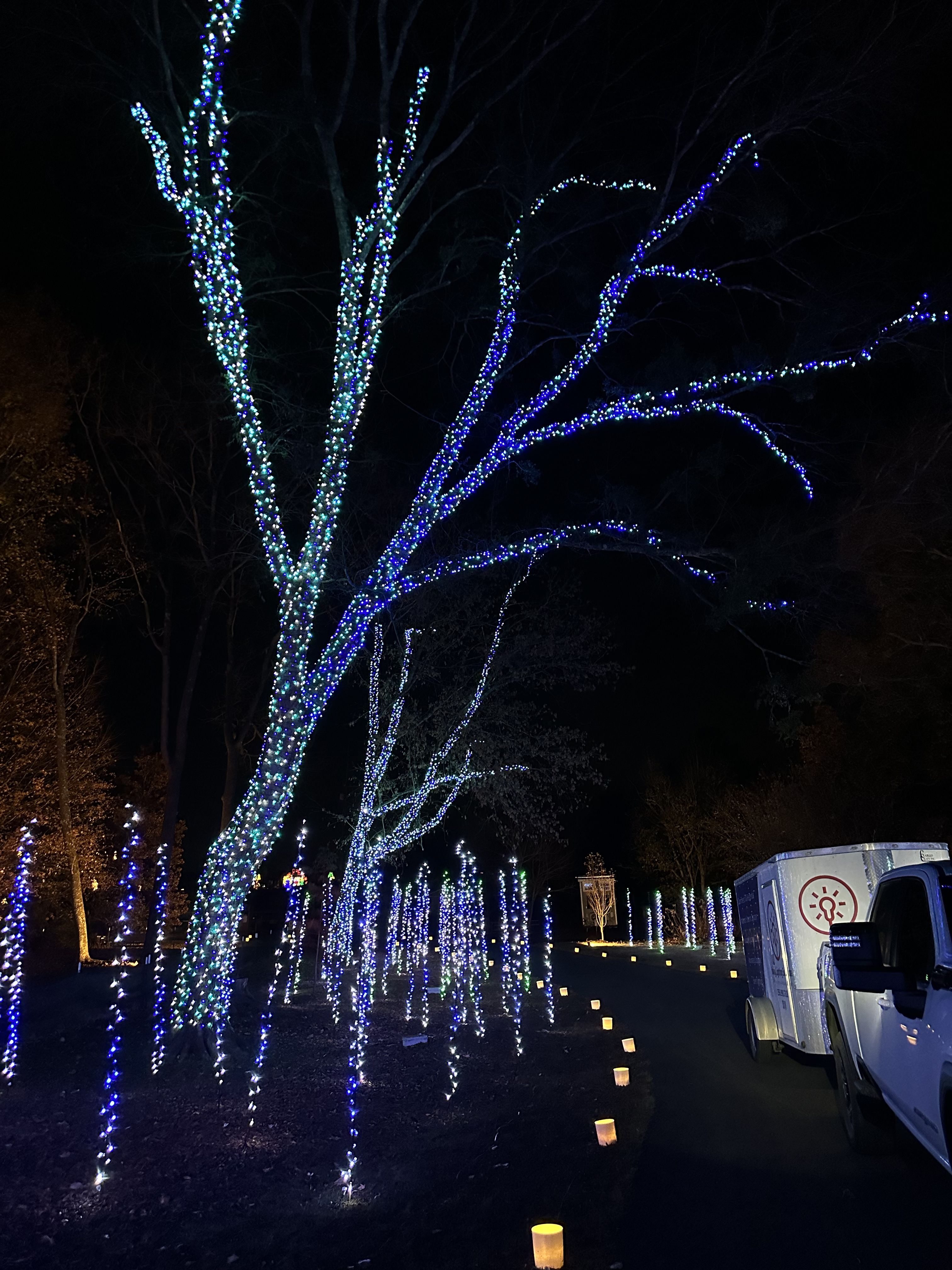  for Holiday Lighting Solutions in Huntsville, AL