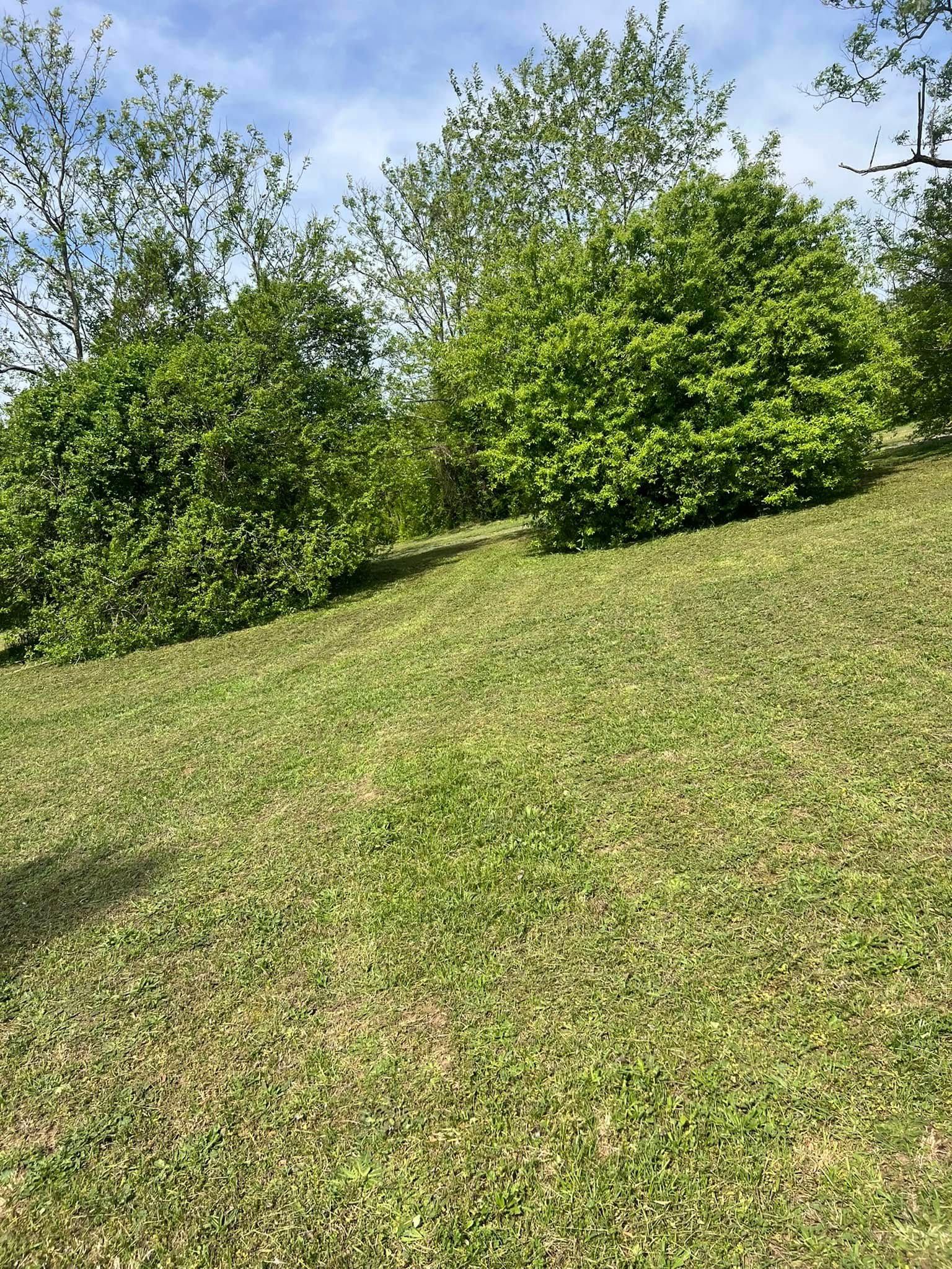 All Photos for LawnTherapy in Lawrenceville, VA