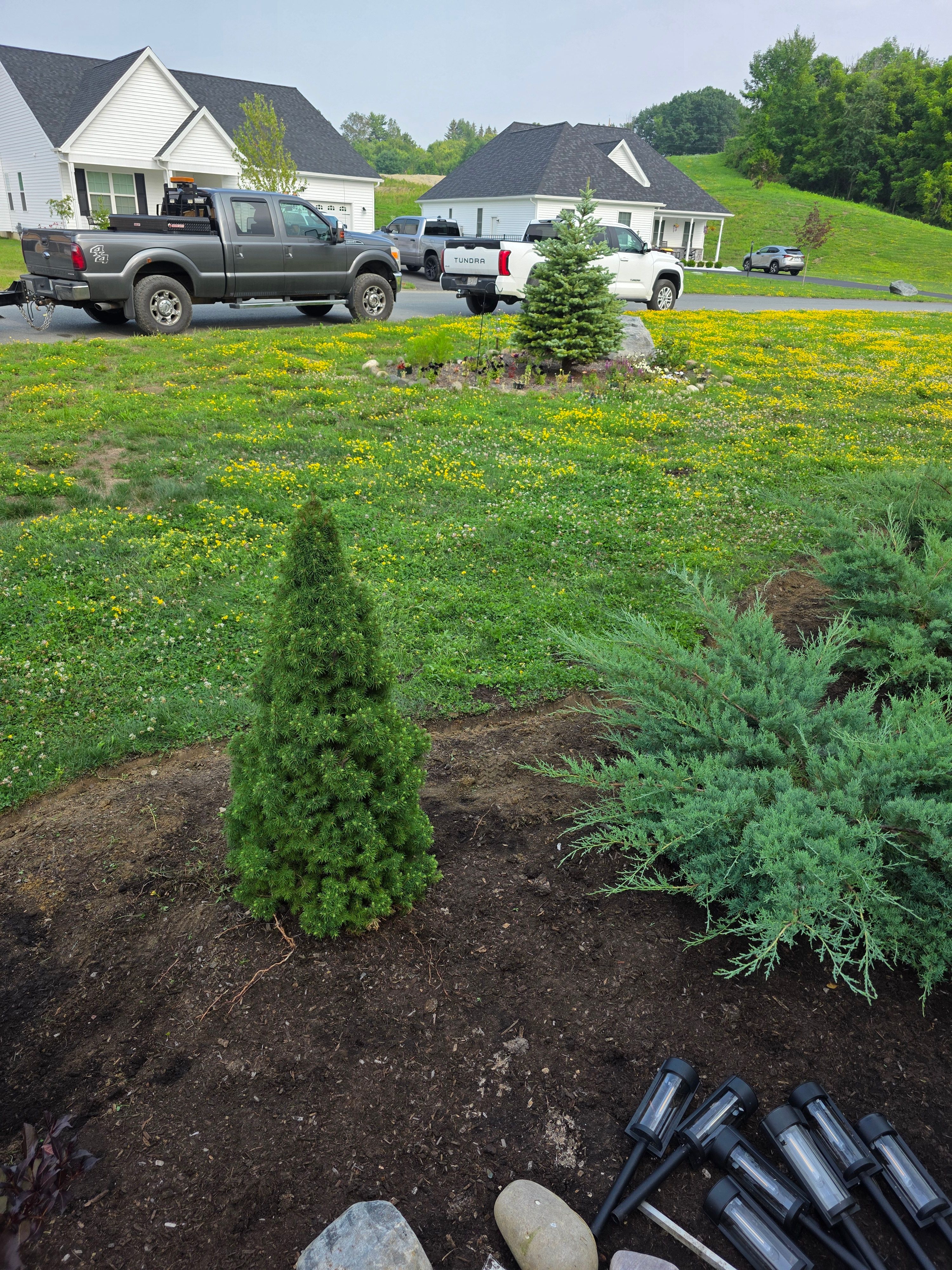  for Sweet Scapes in Ballston Spa, NY