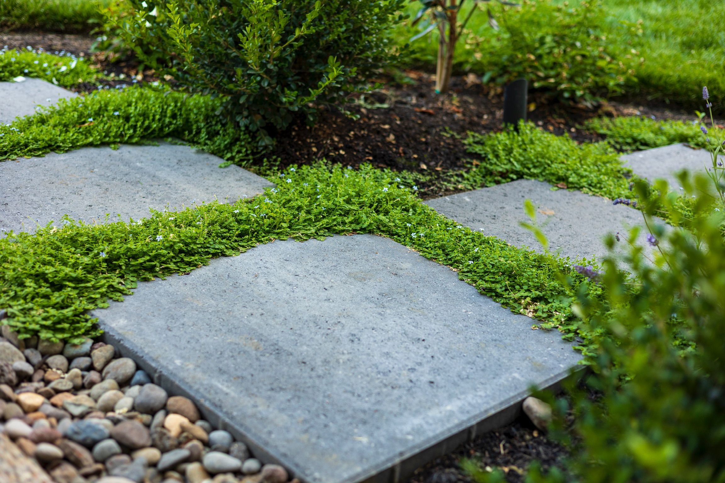  for Courtney Lewis Landscape Design in Portland, OR