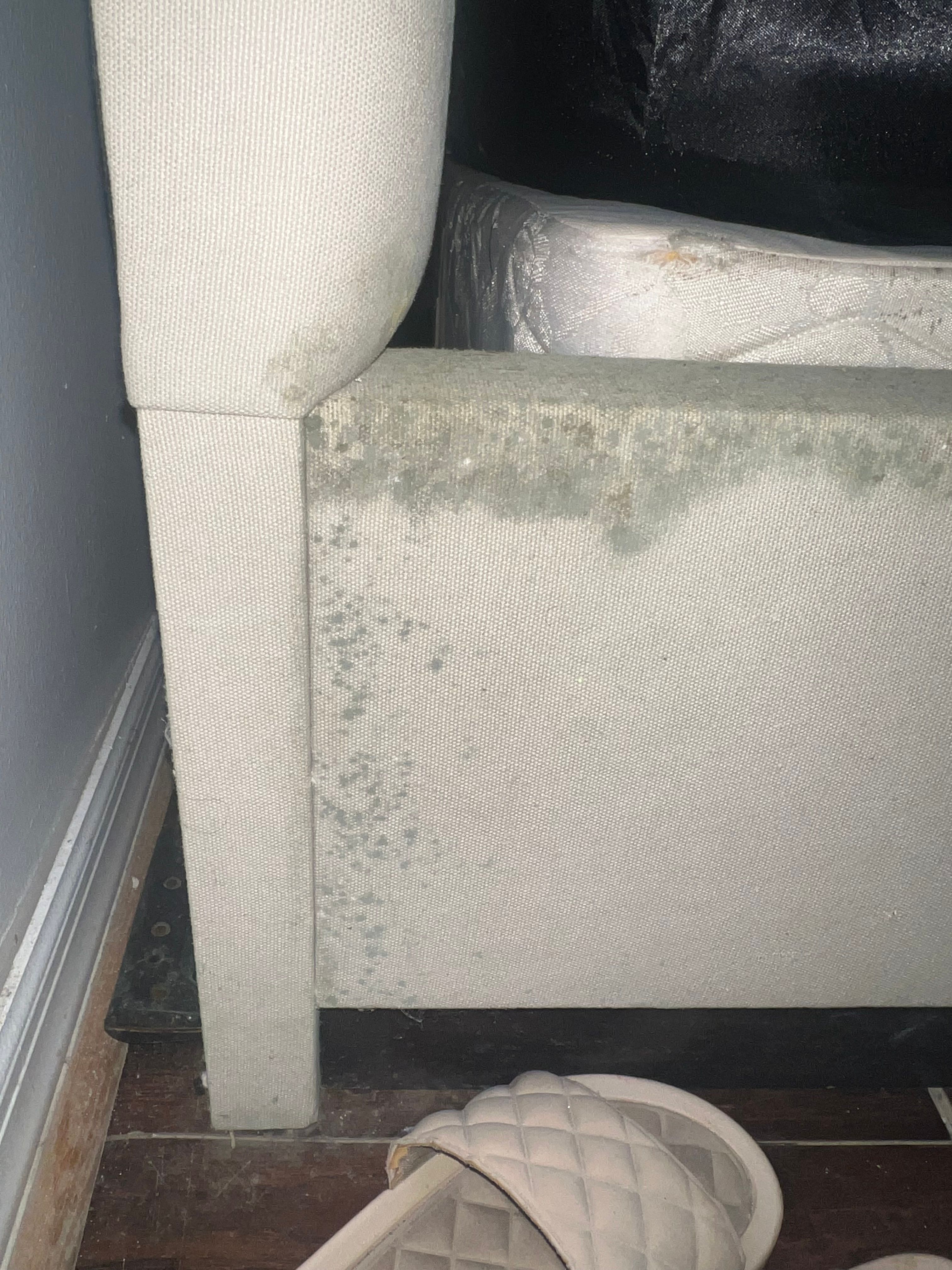  for N&D Restoration Services When Disaster Strikes, We Come In in Cape Coral,  FL