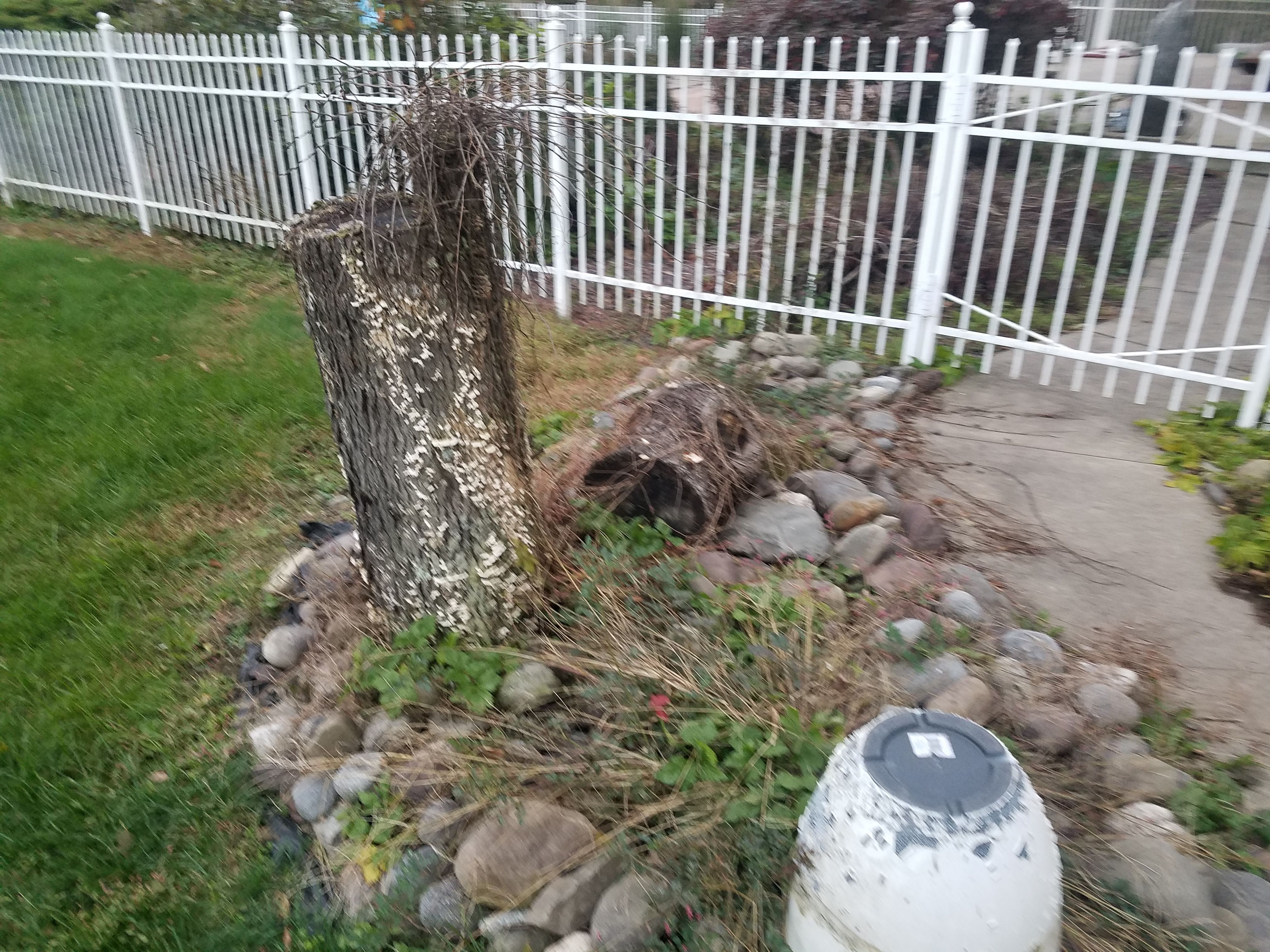  for Down Home Landscaping in Stillwater, PA