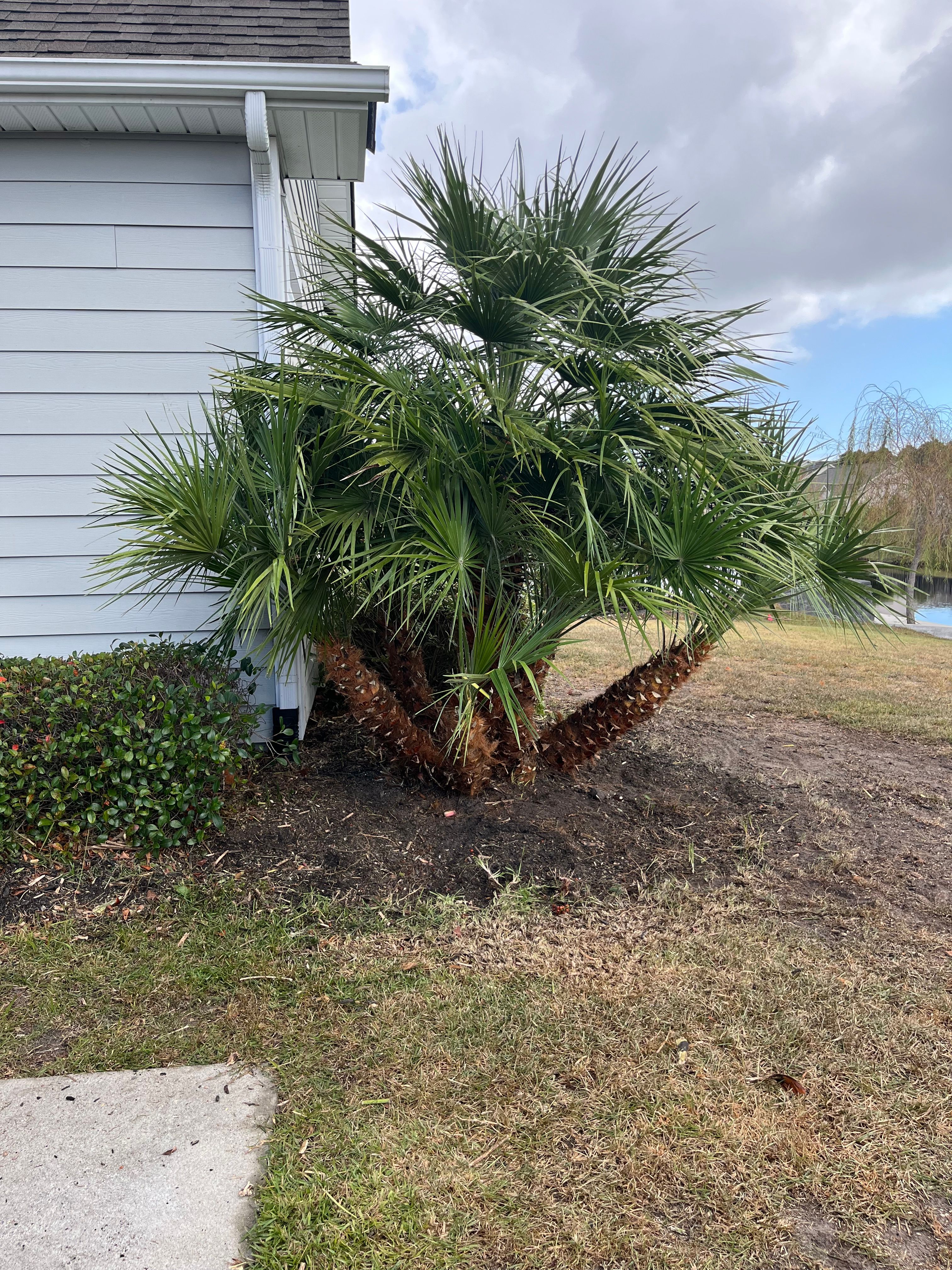  for New Creation Landscaping in Myrtle Beach, SC