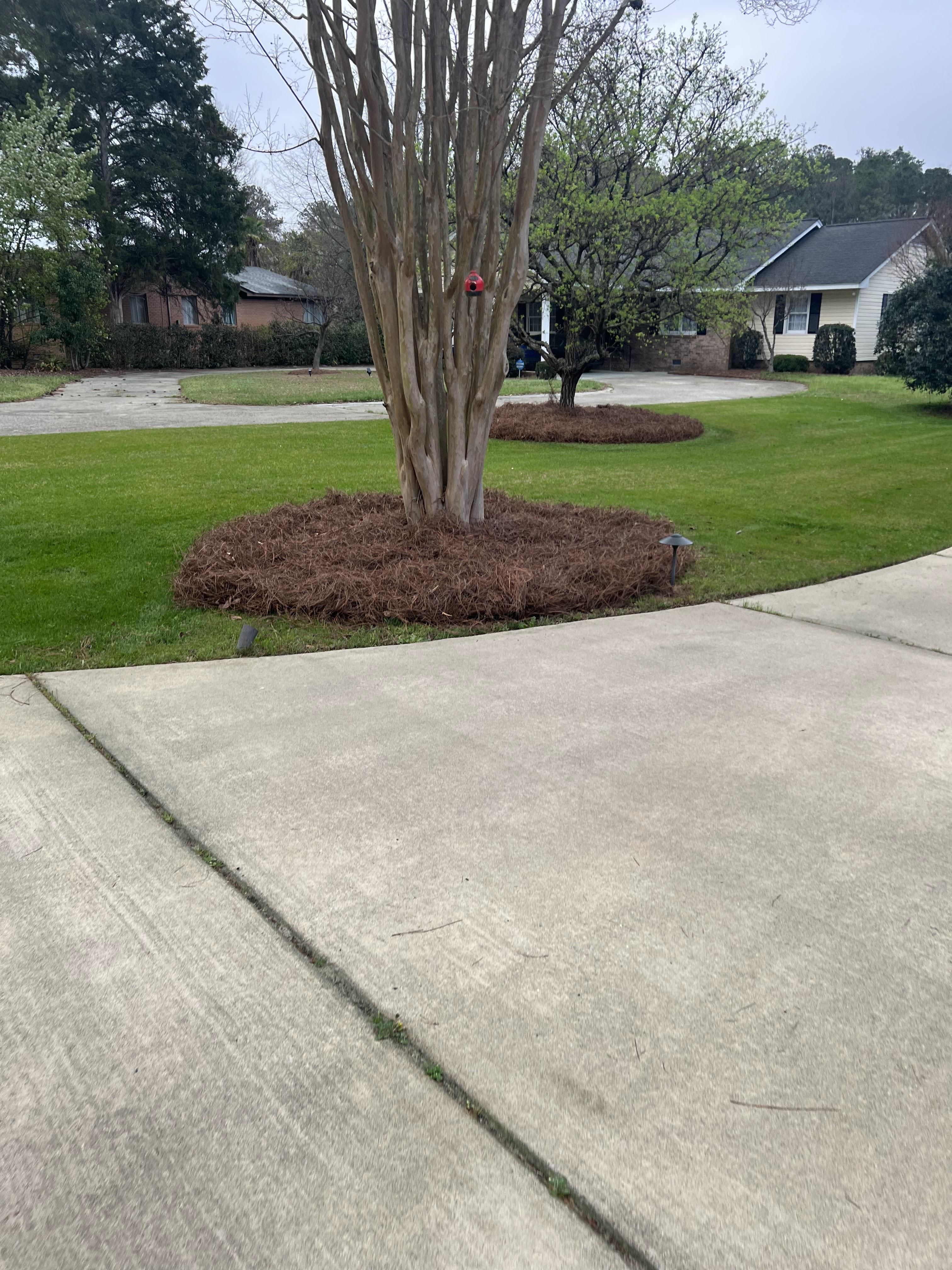  for Shang's Landscaping Service in Columbia, South Carolina