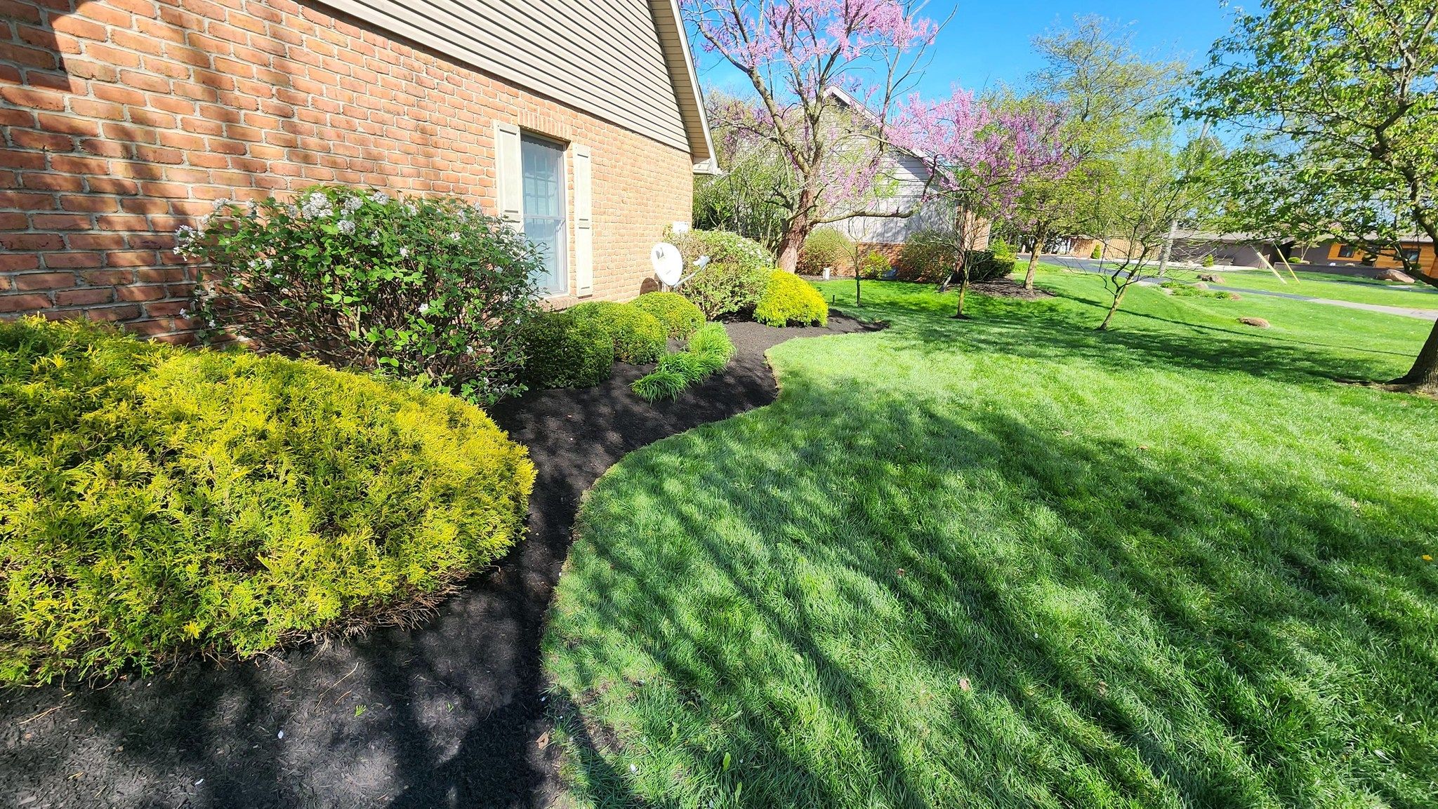  for Knapps Landscaping and Lawn Care in Marion, OH