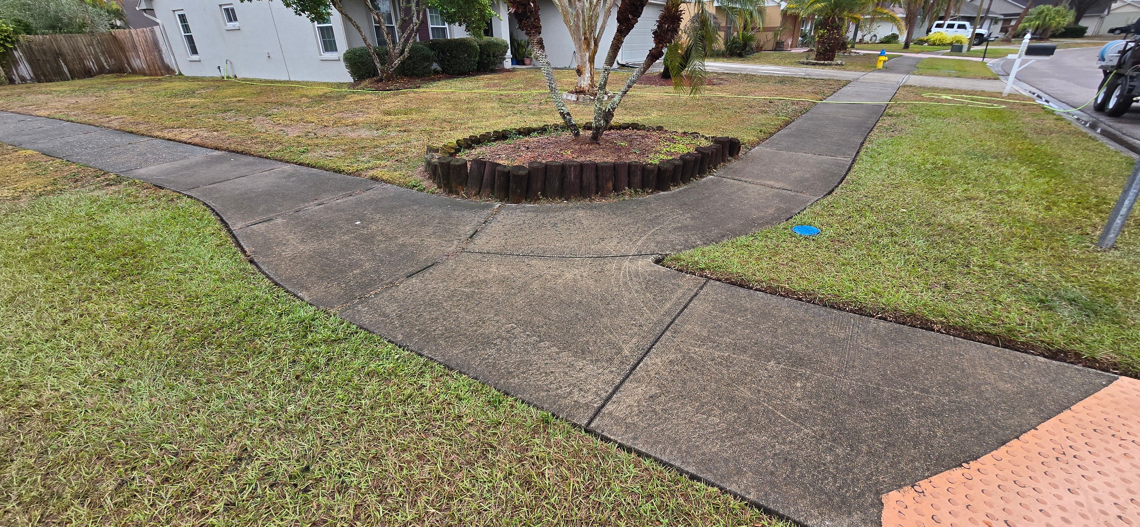  for Blue Stream Roof Cleaning & Pressure Washing in Tampa, FL