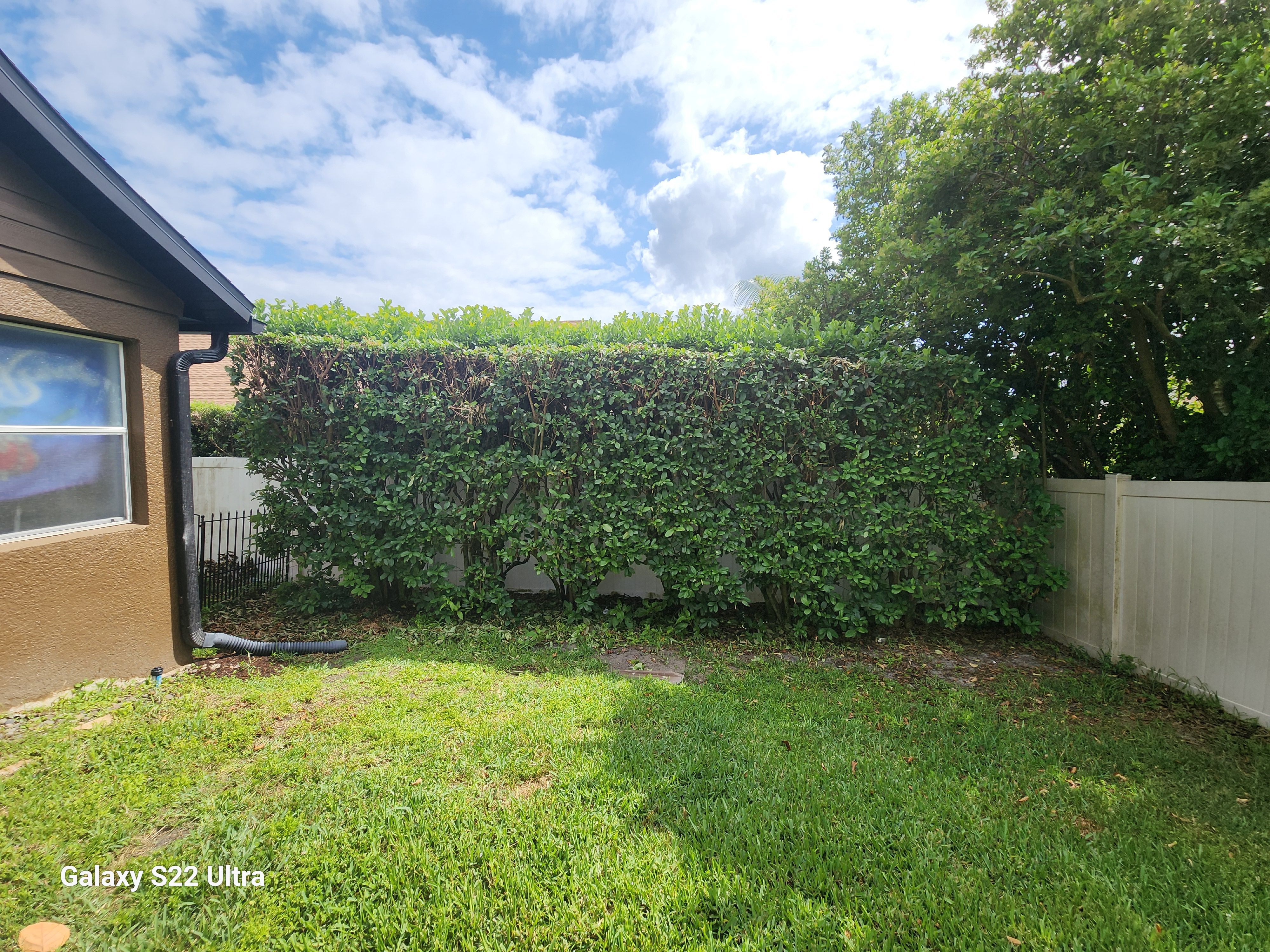 All Photos for Highlife Tree Care And Landscaping in Altamonte Springs, FL