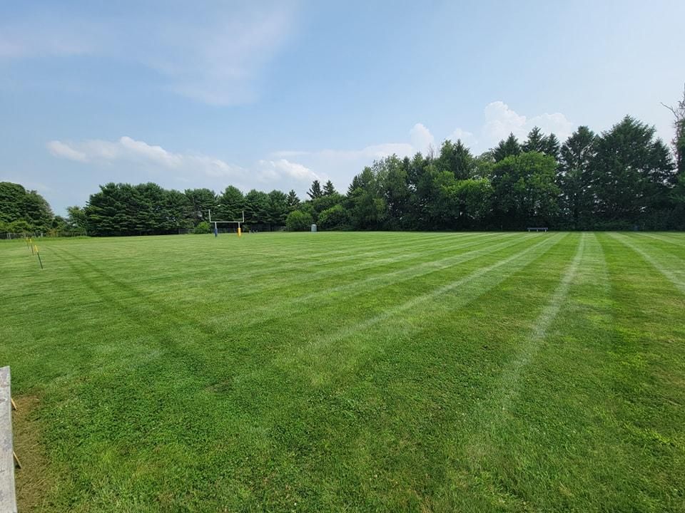 All Photos for Tingley's Green Land Services in Springfield, Ohio
