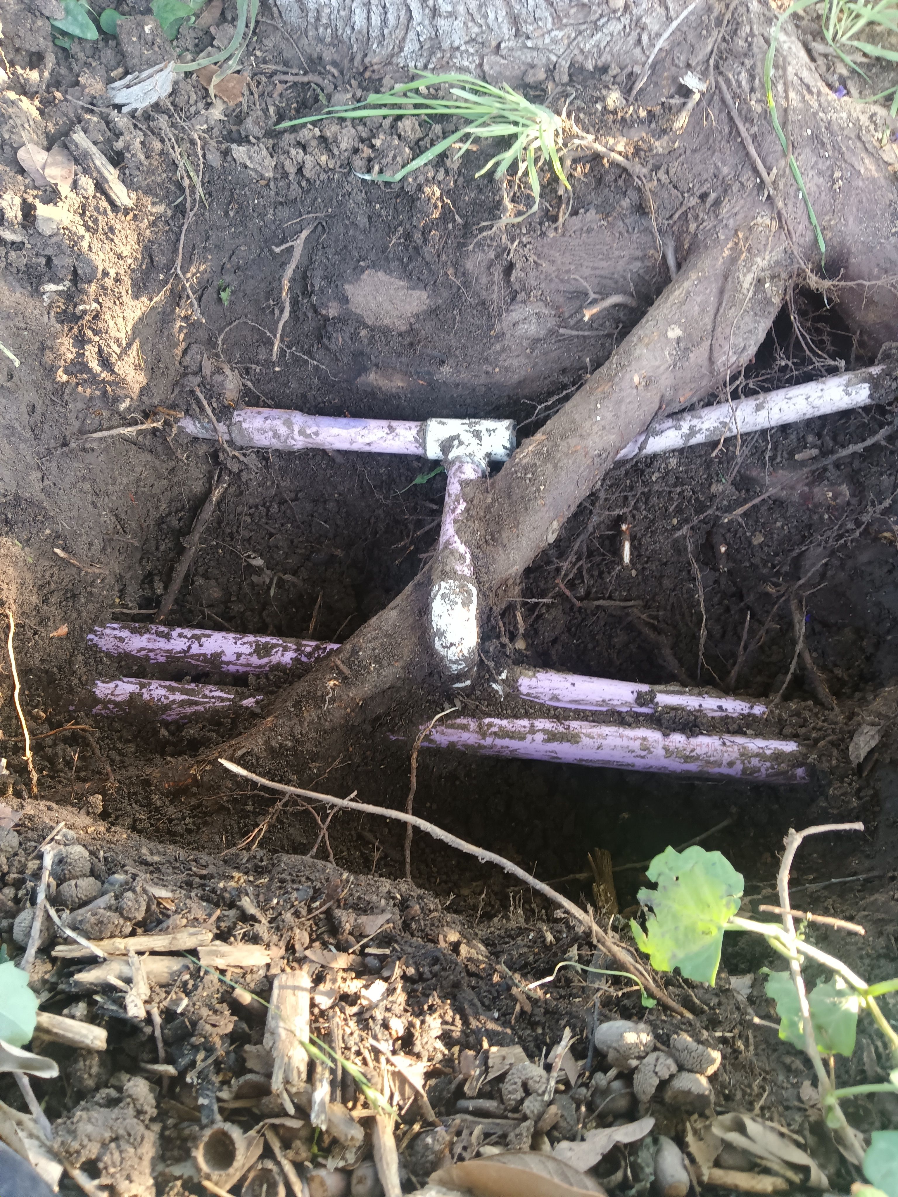  for Arreola Irrigation Repair in Bexar County, TX