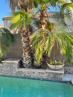  for Patriot Tree Service in Mesa, AZ