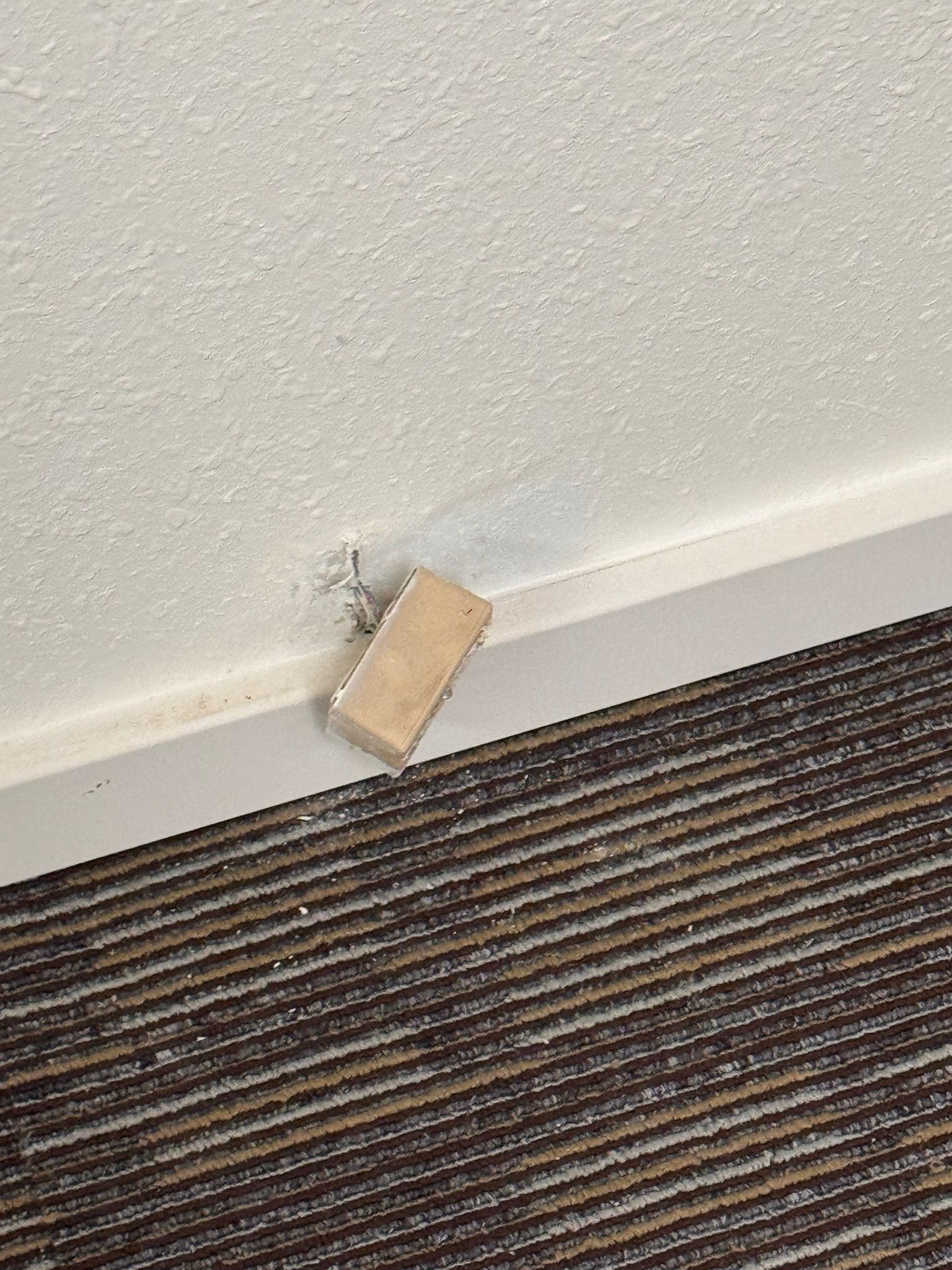  for Tony's Remodeling & Painting in Renton, WA