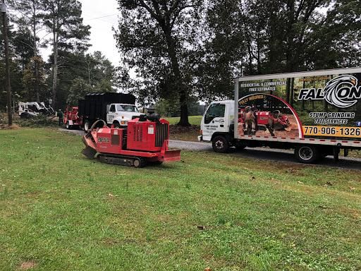  for Falcon stump grinding Tree services in Loganville, GA