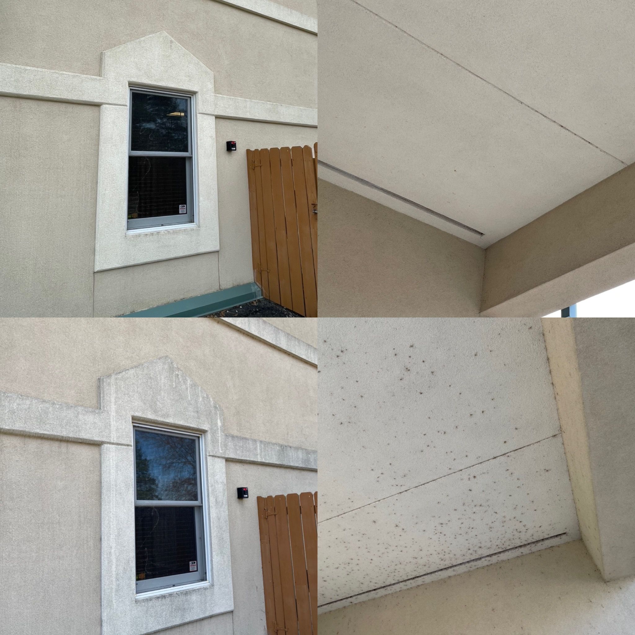  for See2it Clean in St Louis, MO