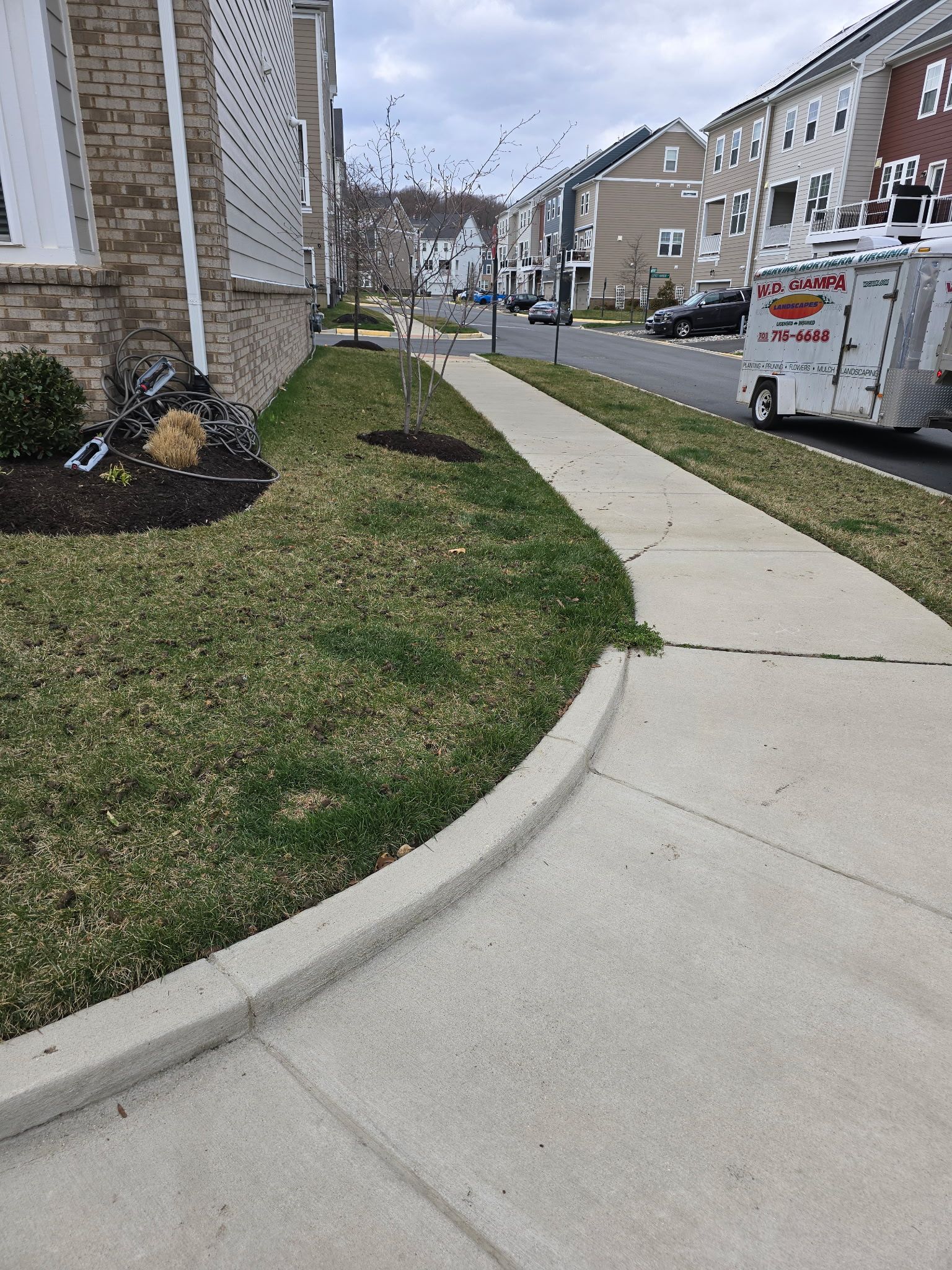  for W D Giampa Lawns and Landscape Inc. in Manassas, VA