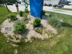 All Photos for Daugherty's Tough Lawn Care in Essexville, MI
