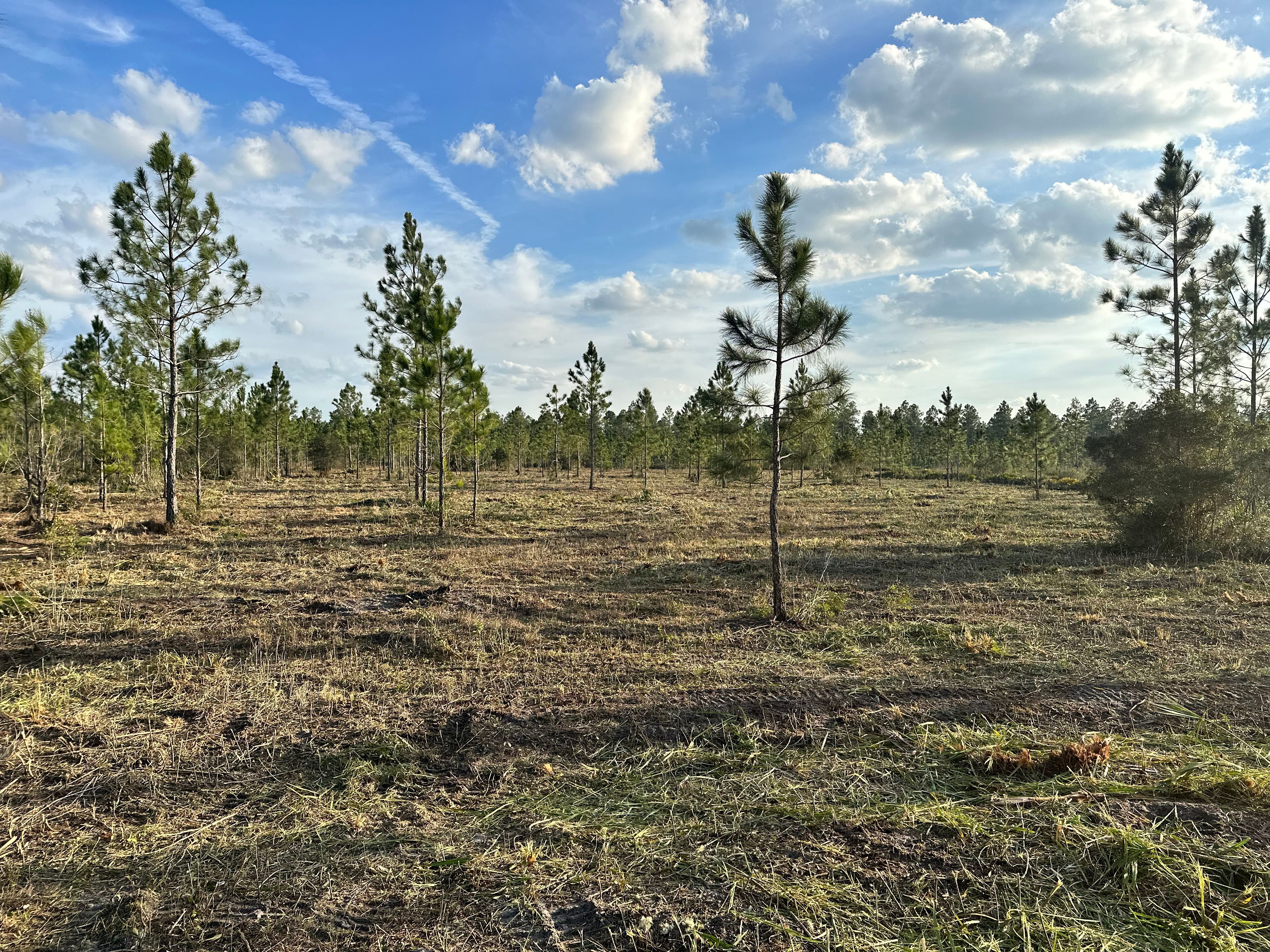  for AL Dirtworks LLC in St. Augustine, FL