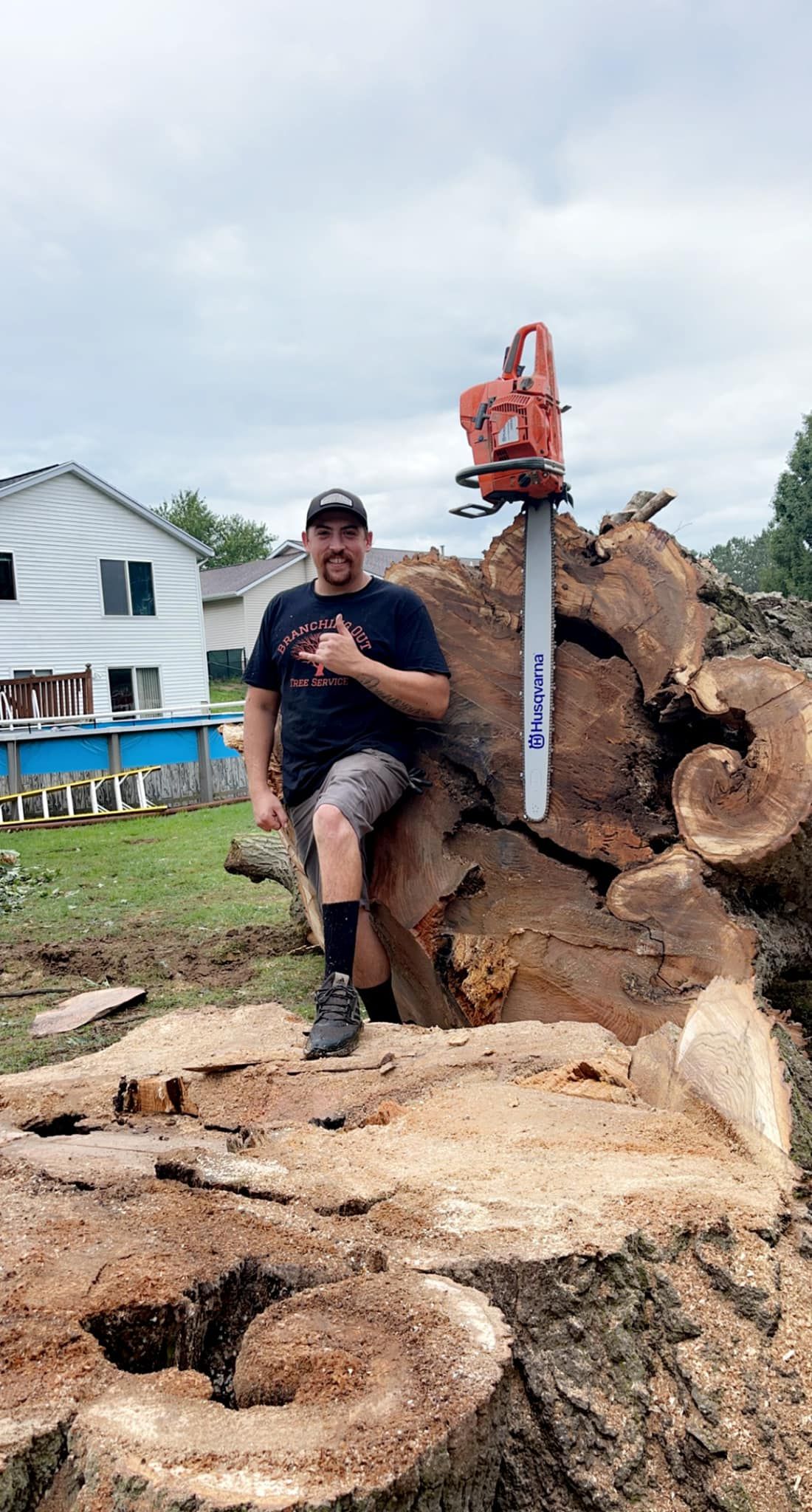  for Branching Out Tree Service in Hastings, MI