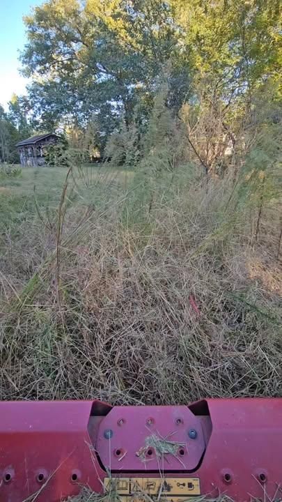 All Photos for Natures Accent in Wilson, NC