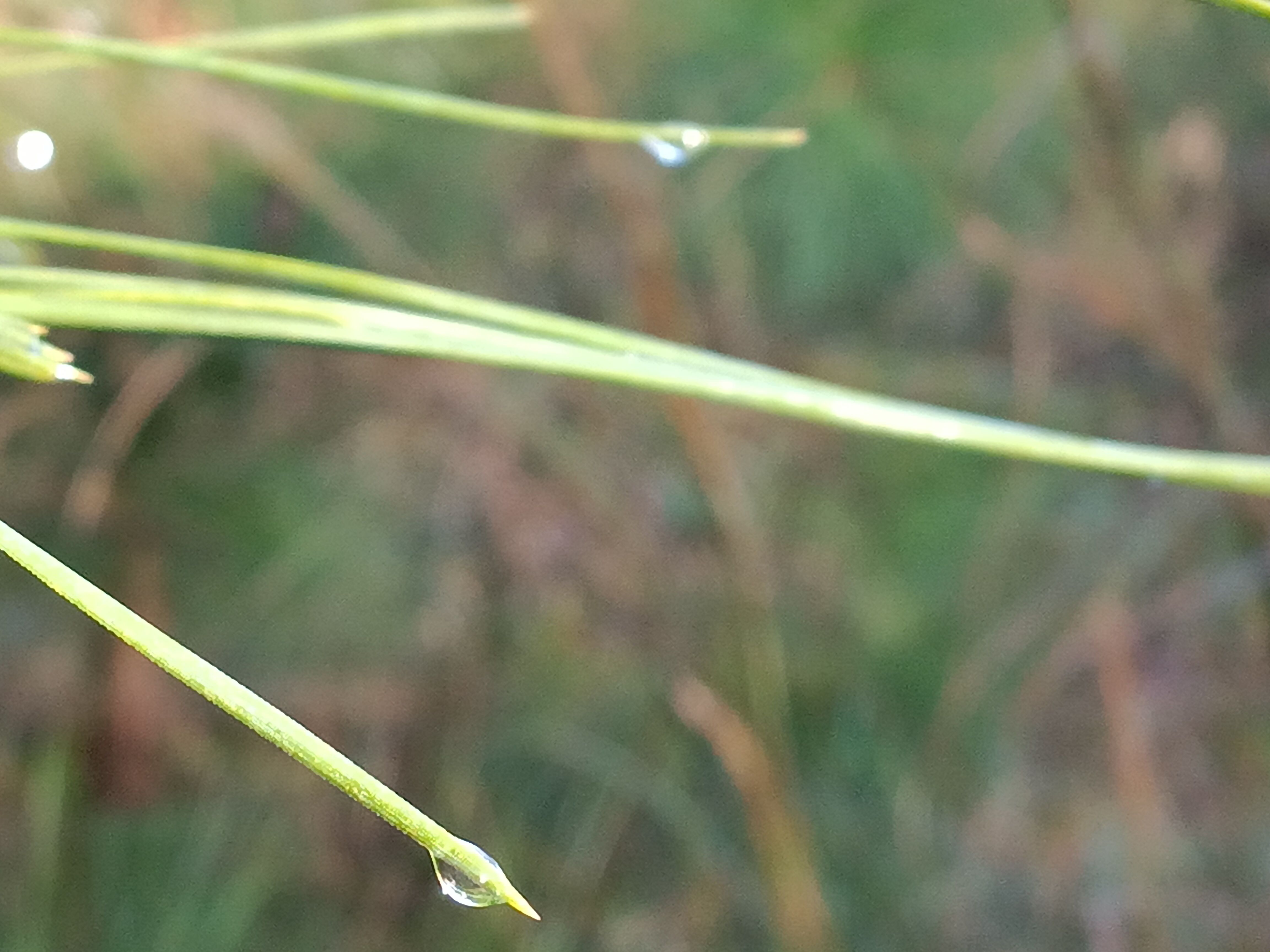  for Sam I AM Property Solutions in Sunderland, MD