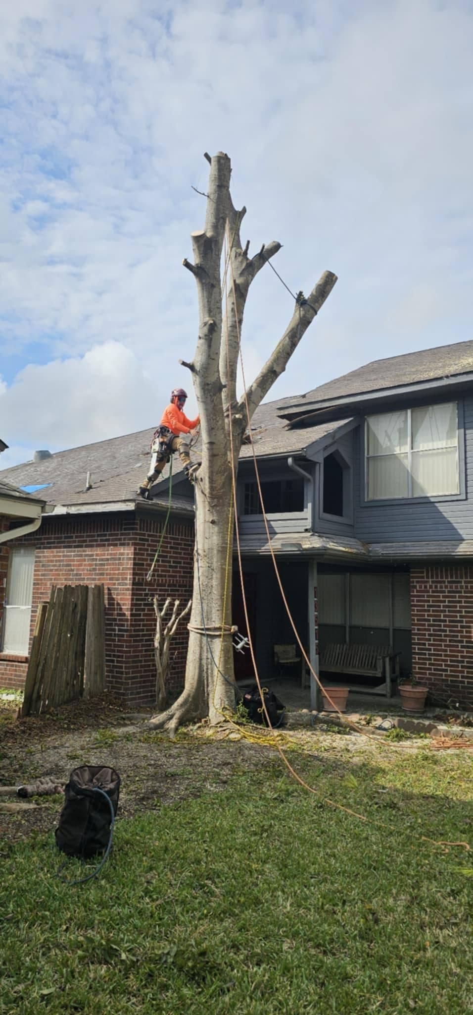  for Servin's Tree Care  in Houston, TX