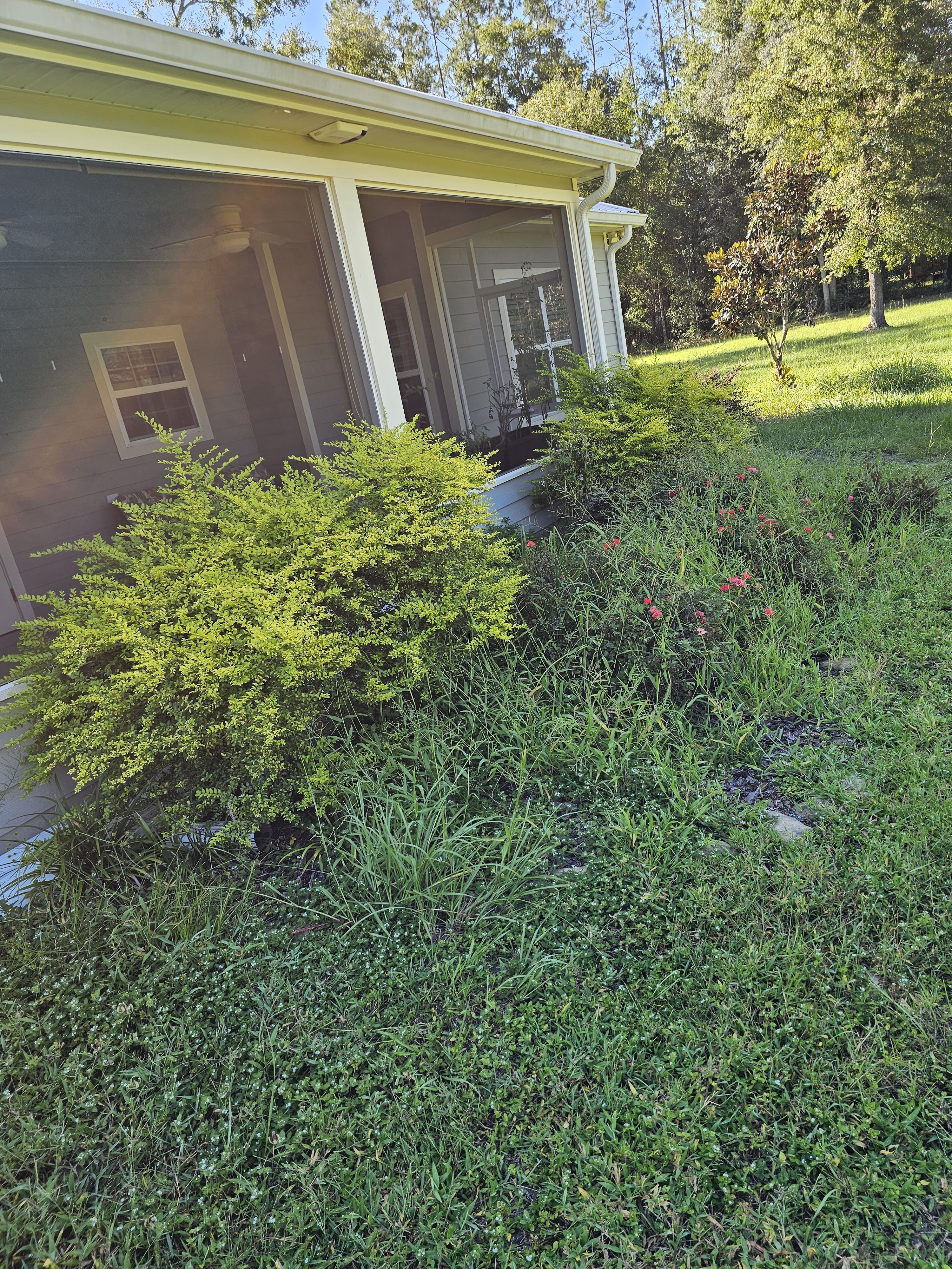  for Deeper Roots Landscape in High Springs, FL