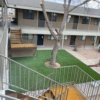 All Photos for Tree Service Miracles in Albuquerque, NM