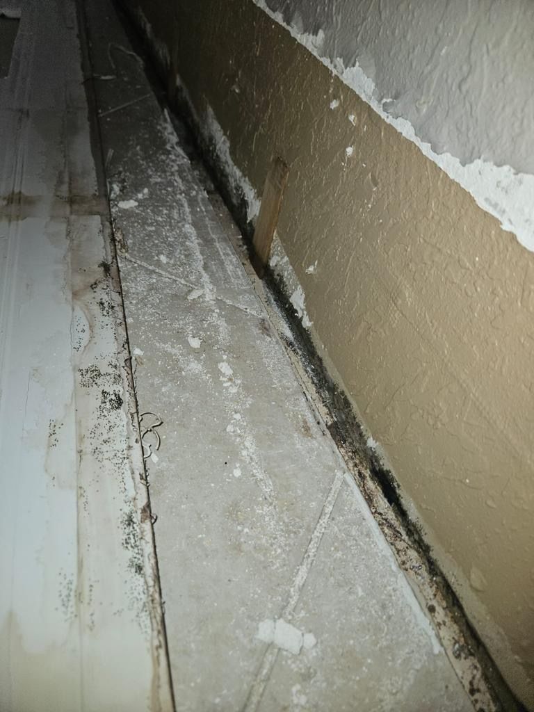  for N&D Restoration Services When Disaster Strikes, We Come In in Cape Coral,  FL