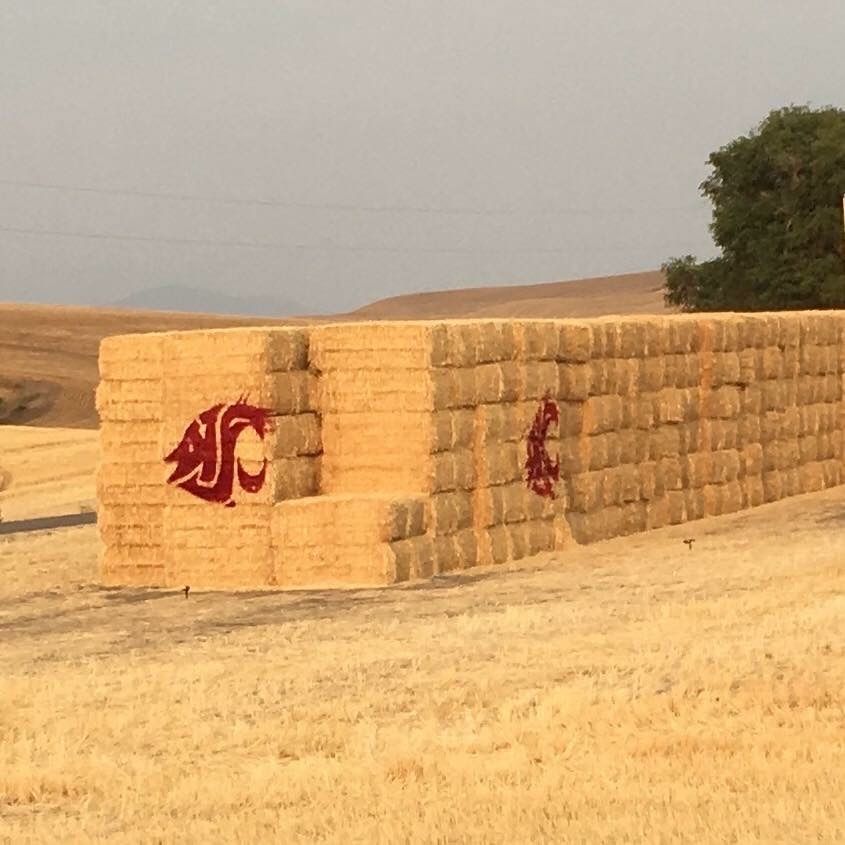 Barn Painting for Chewelah Painting in Spokane, WA