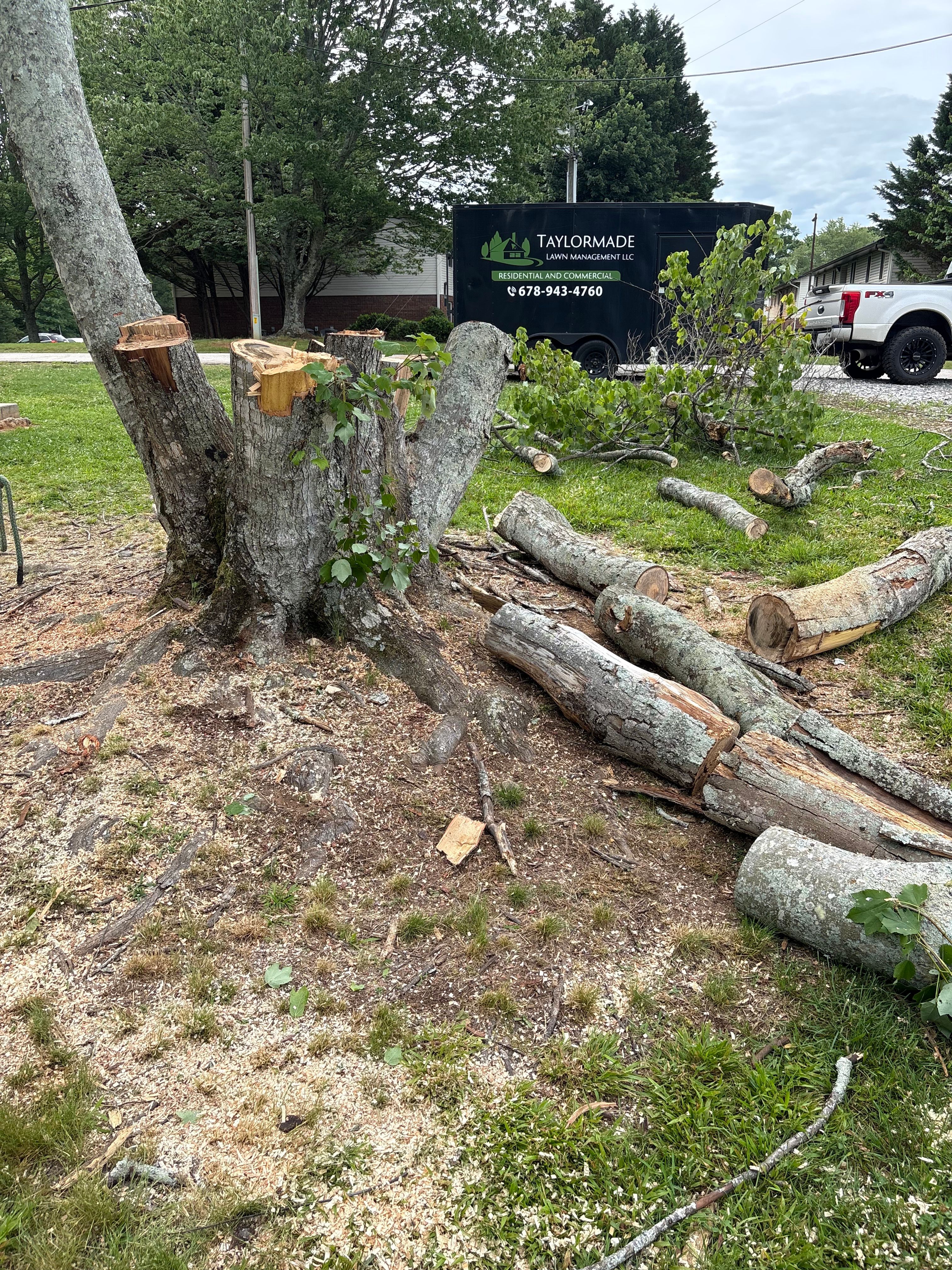  for Taylormade Lawn Management in Habersham County, GA