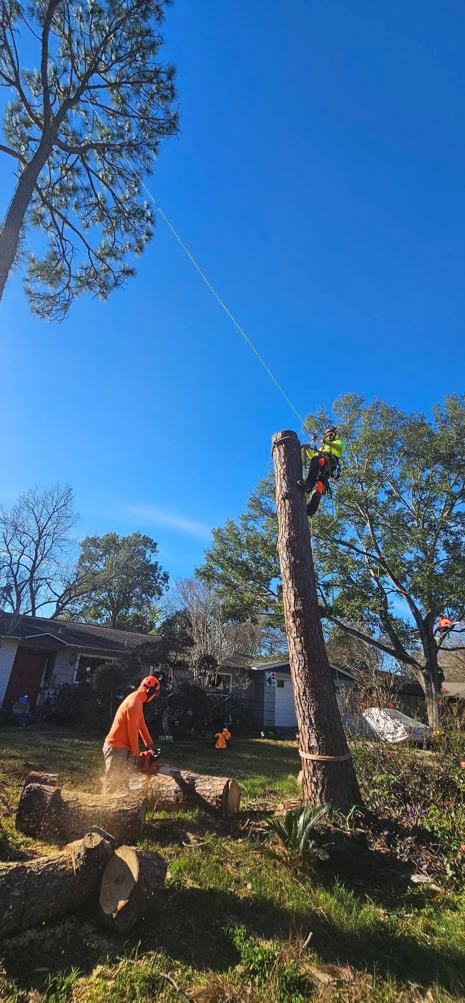  for Servin's Tree Care  in Houston, TX