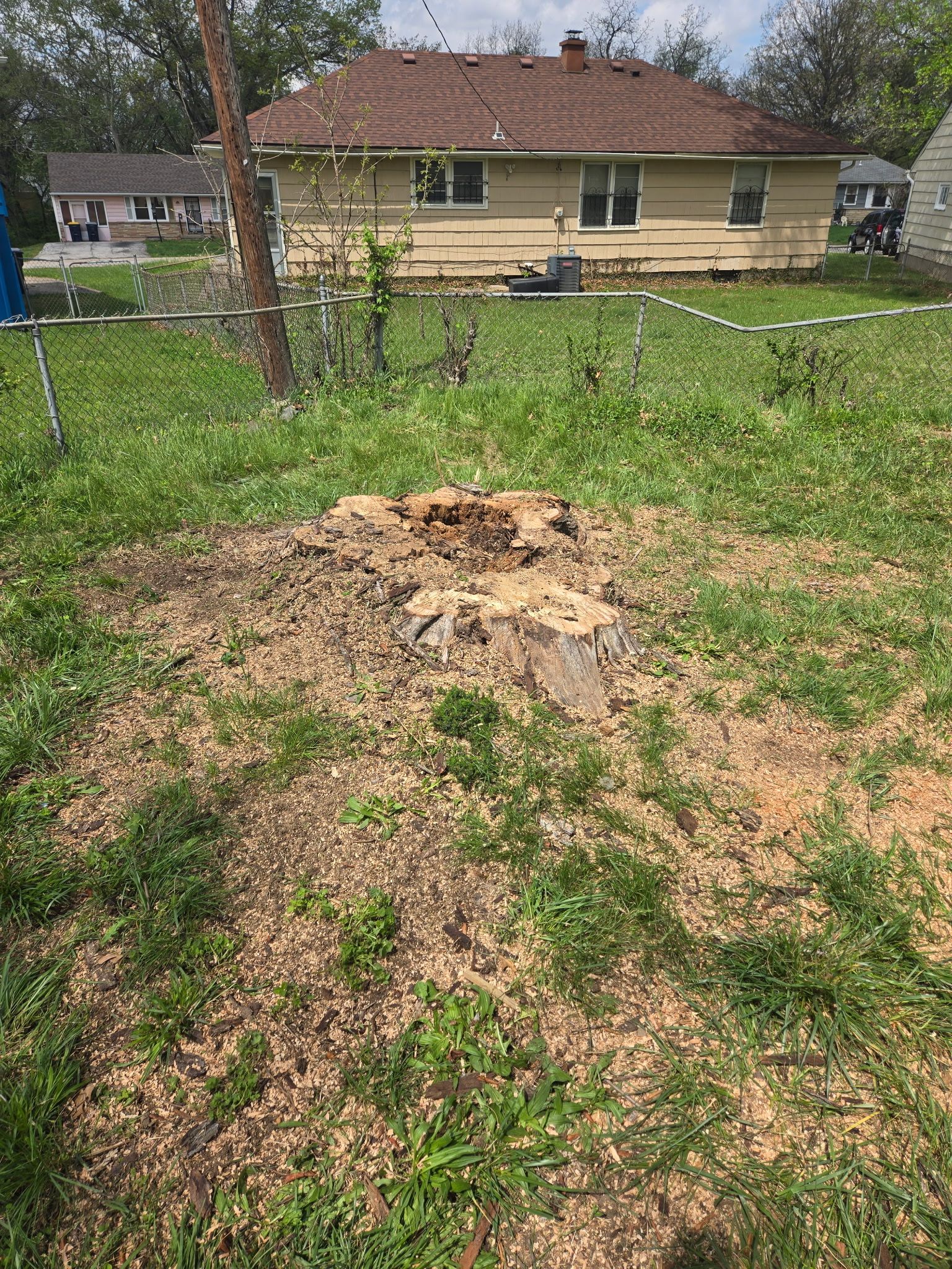 All Photos for Cross Family Tree Service in Kearney, MO