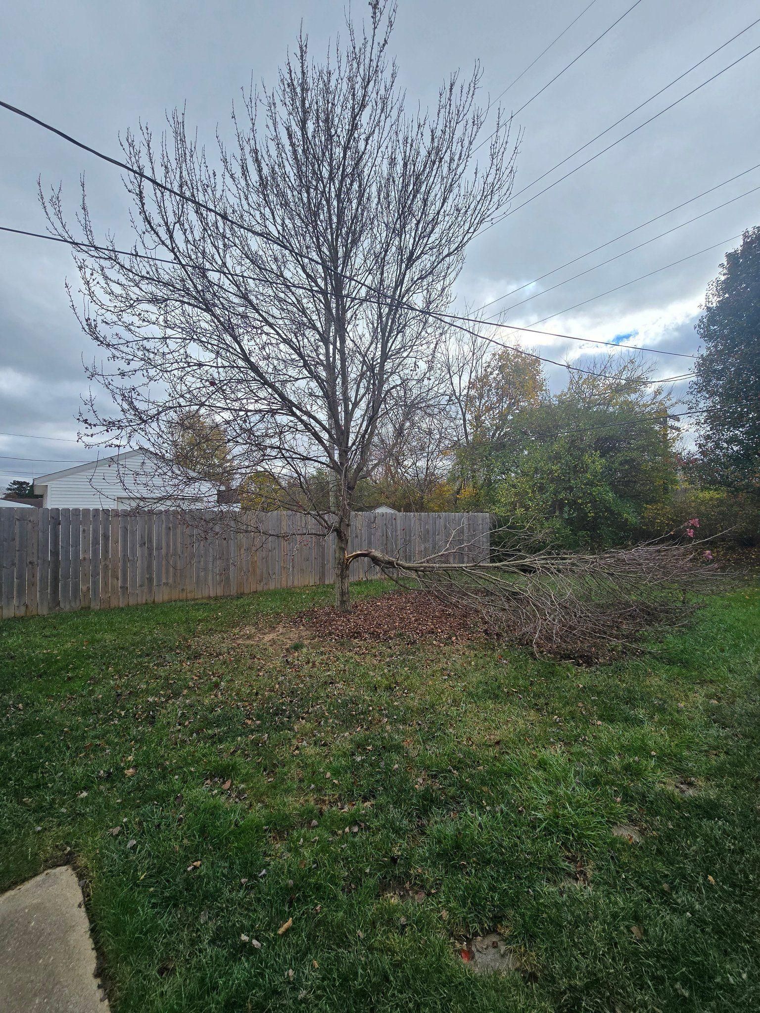 All Photos for Tingley's Green Land Services in Springfield, Ohio
