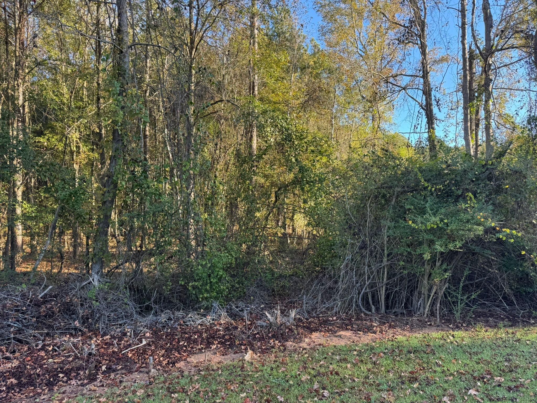  for KLNAX Enterprises in Newton County, GA