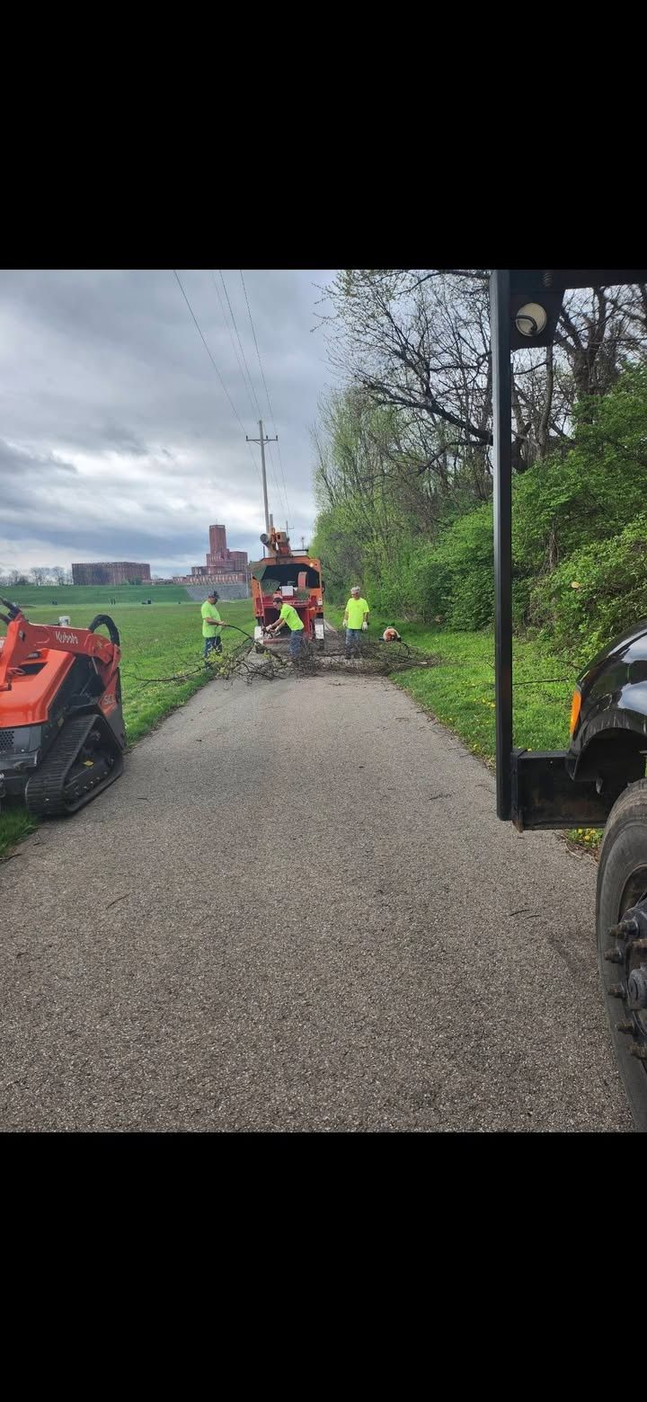  for Carpenter's Tree Service in Aurora, IN