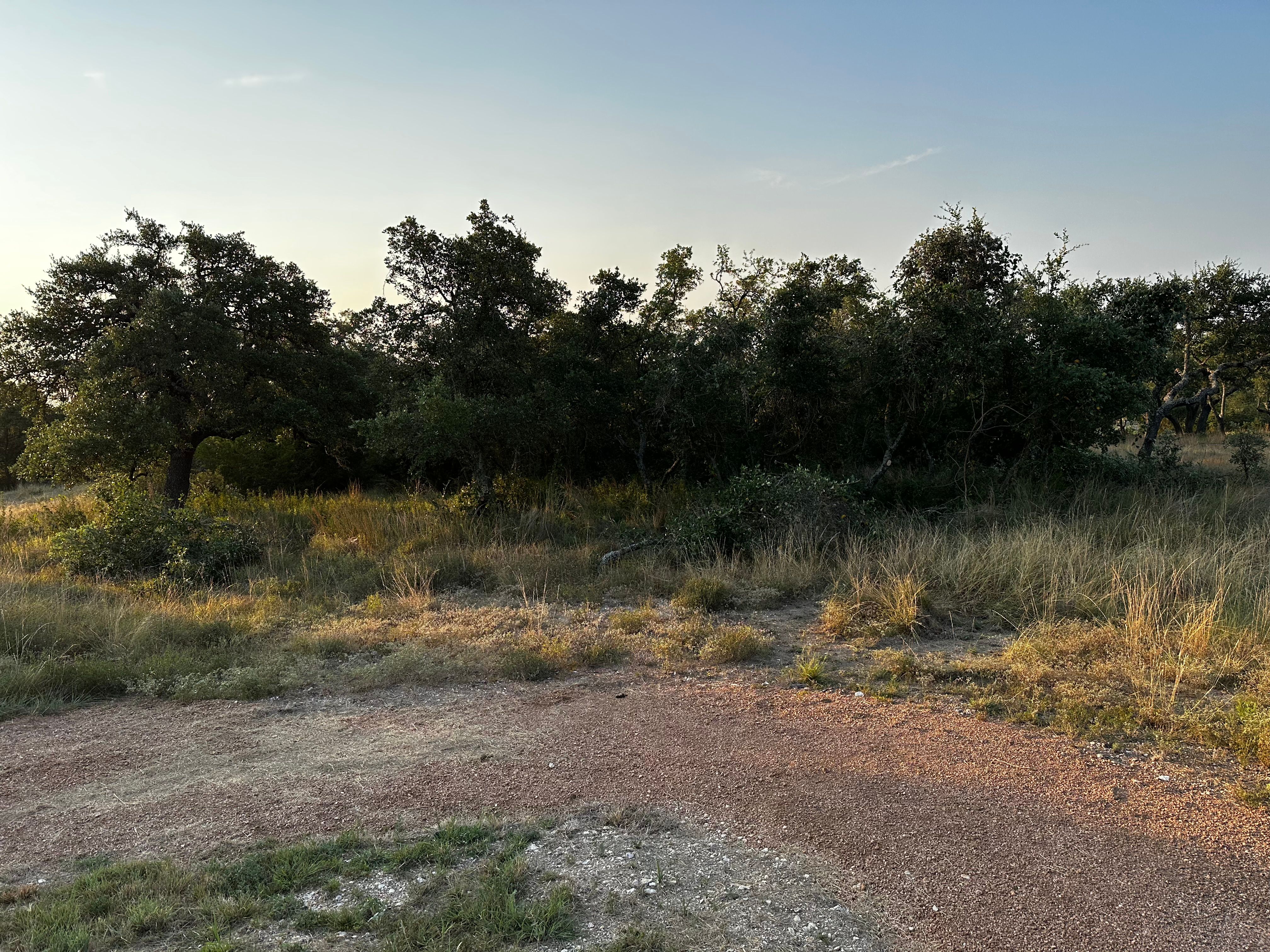  for 512 Land Clearing in Blanco County, TX